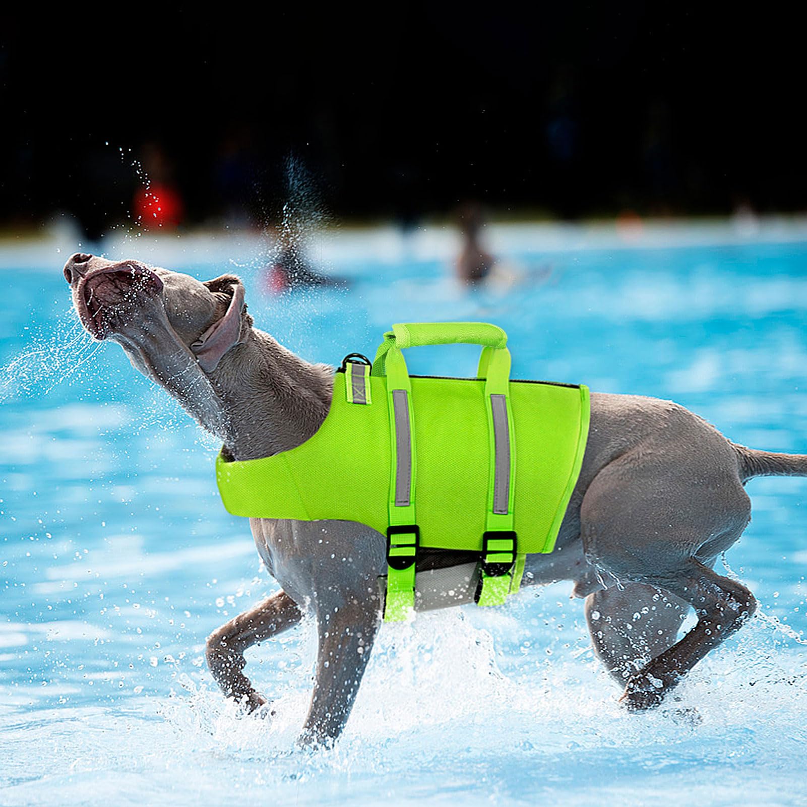 Queenmore Dog Swim Vest - Lightweight Adjustable Reflective Puppy Pet Float Life Preserver With Back Zip, Rescue Handle, Metal H