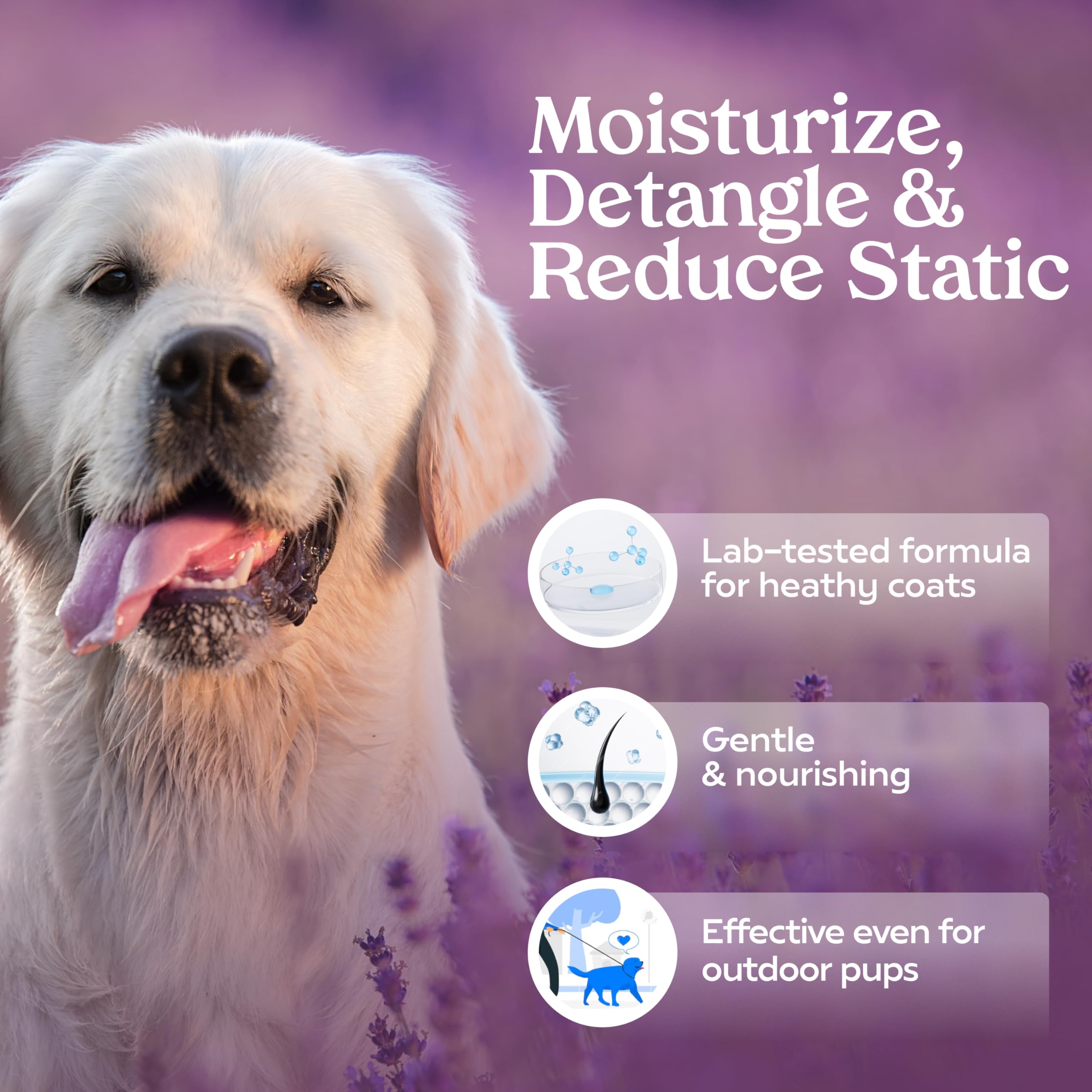 Pawfume Dog Detangler Grooming Spray, Royal Lavender, 4-Pack - Keeps Pups Fresh All Day - Hypoallergenic, Alcohol-Free, Detangli