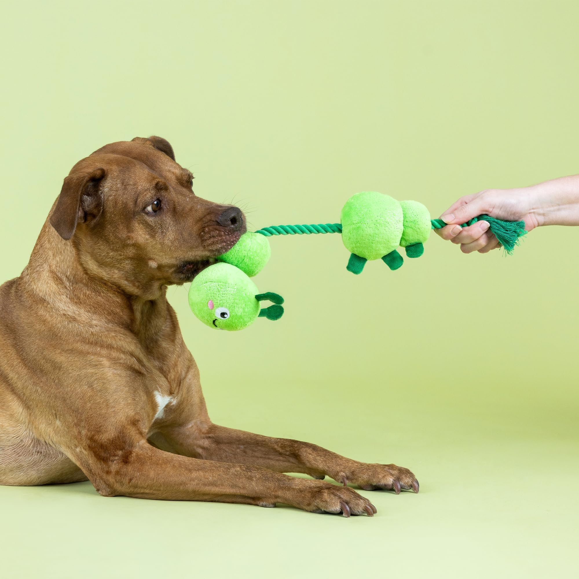 Fringe Studio ''Pillar of Society Plush Dog Toy, Pet Shop Collection (314370)