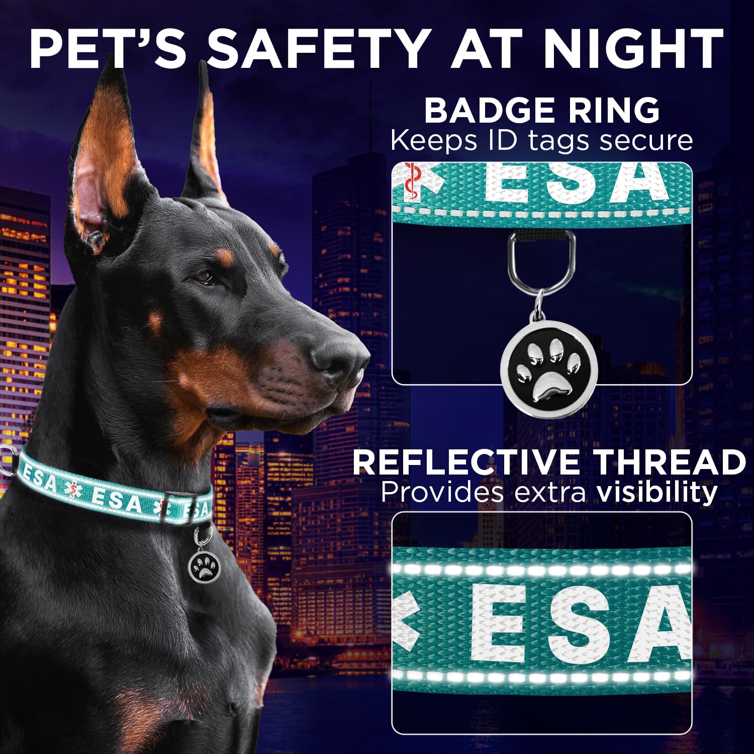 Teceum Reflective Pet Collar - Teal - Esa - Xs - Extra Soft Padding - Basic Nylon Dog Collar - Quick Release Buckle - Fits Small