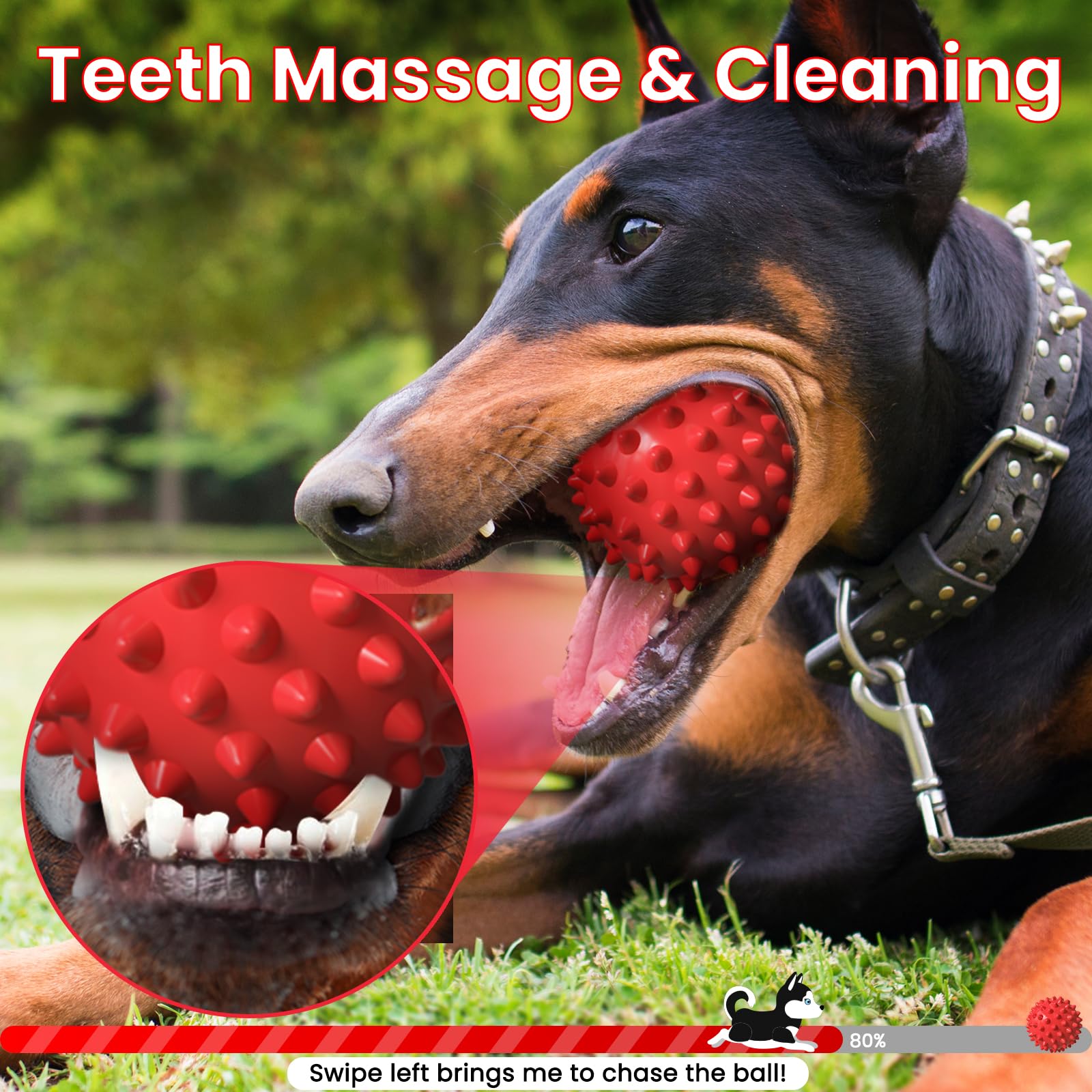 Apasiri ???????????????? ?????????????? Squeaky Toys For Large Dogs, Aggressive Chewers, Tough Spiky Ball Durable Floatable Rubb