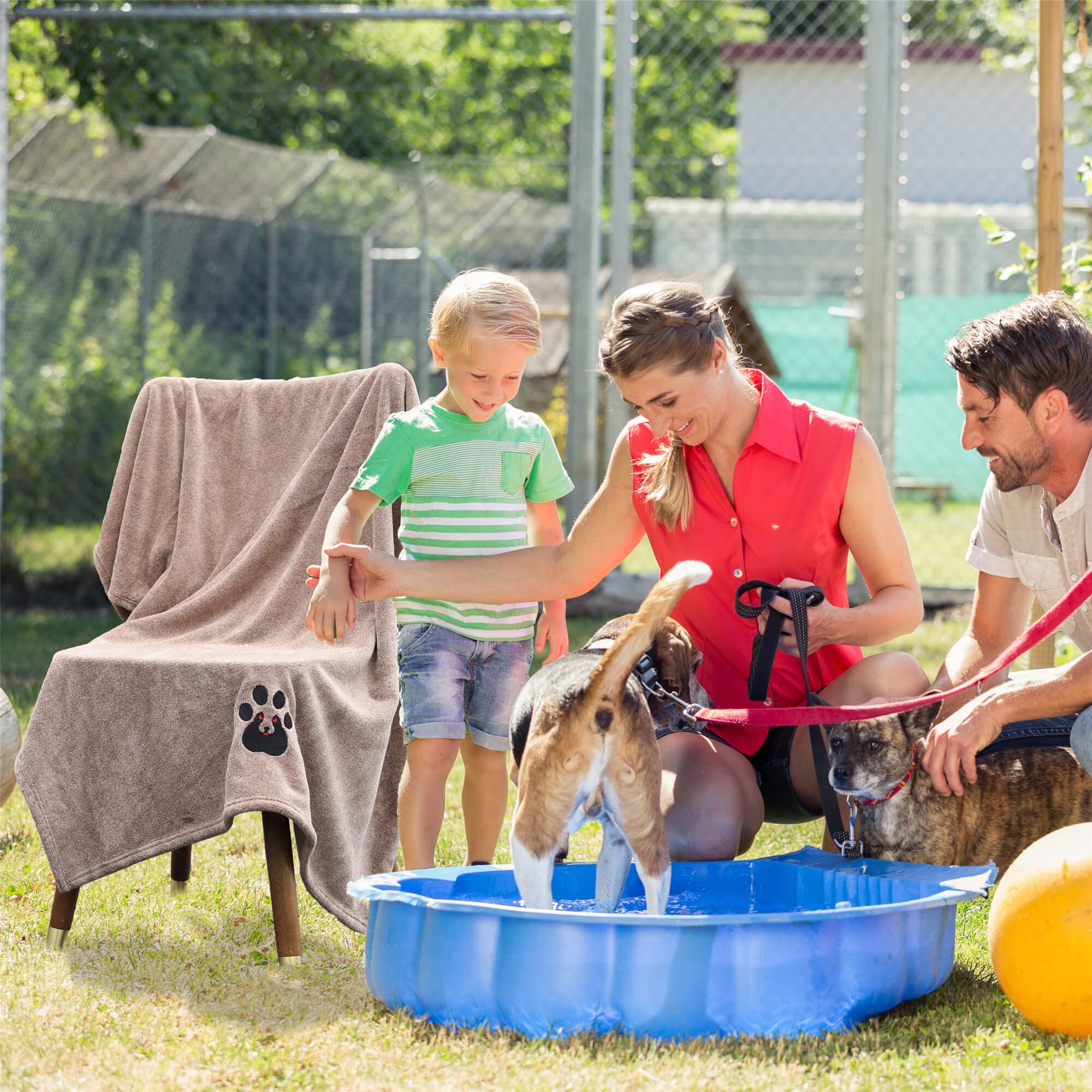 Dogvingpk Extra Large Dog Towels for Drying Dogs - Pack of 3 - Super Absorbent Soft Microfiber Pet Bath Grooming Towel for Dogs