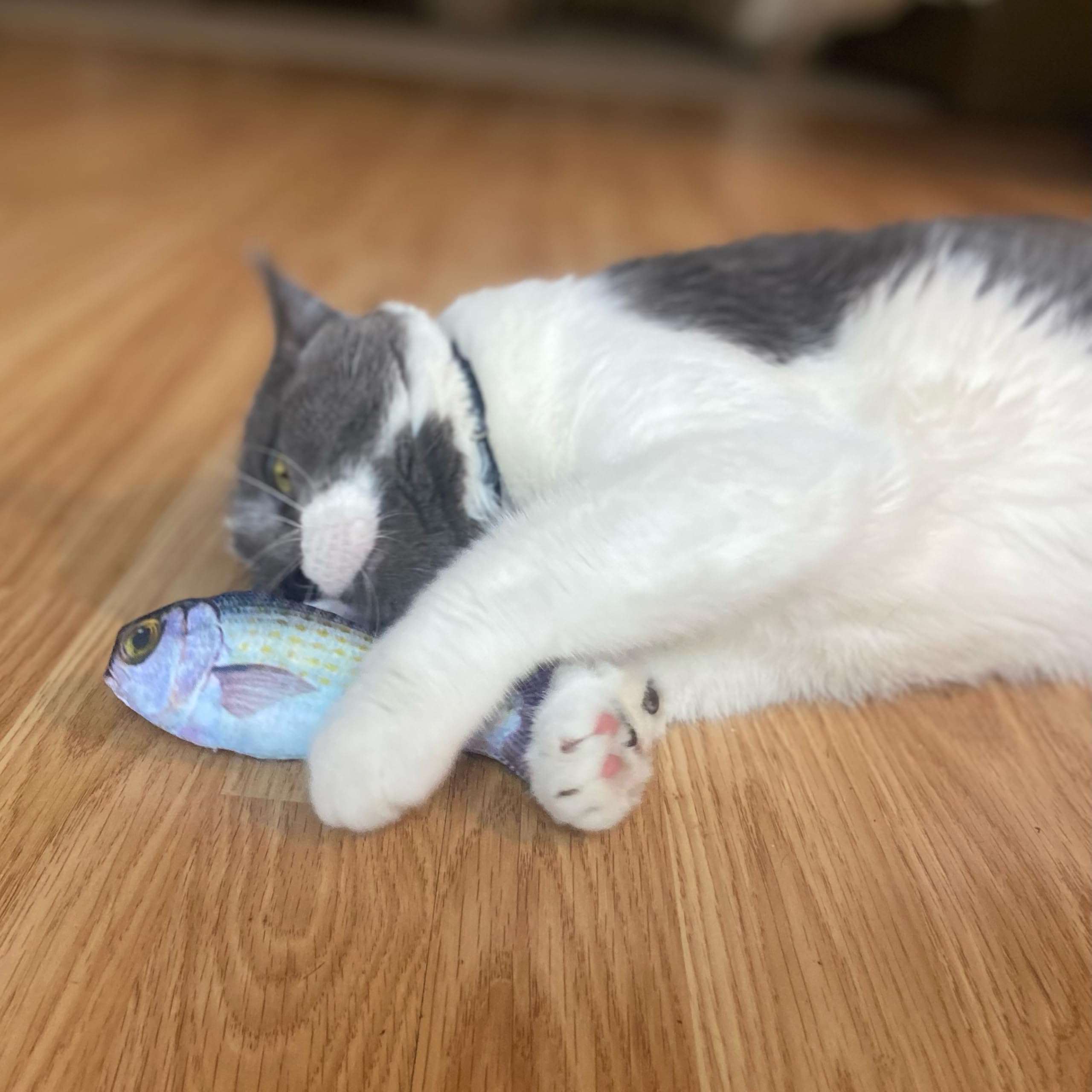 Spot Fanatic Fish - Plush Cat Toy With Catnip And Crinkle Sound, Realistic Looking Fish Toy For Cats & Kittens To Cuddle, Chase, Hug, Kick, And Swat -6.5In, 1 Piece