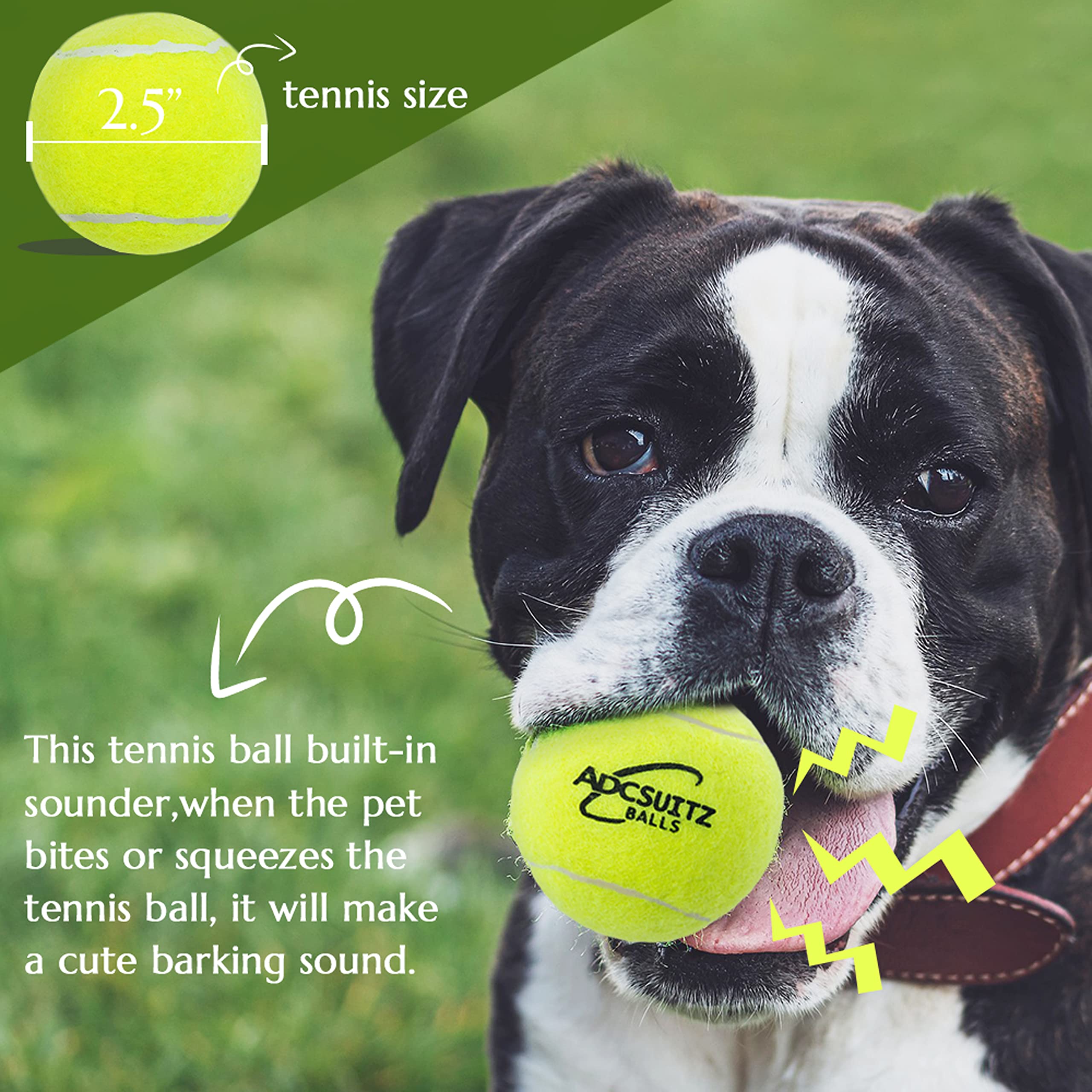 Adcsuitz Dog Tennis Balls - 12 Pack Squeaky Interactive Dog Toys Balls For Training Exercise Playing Indoor Outdoor - 2.5'' Funn