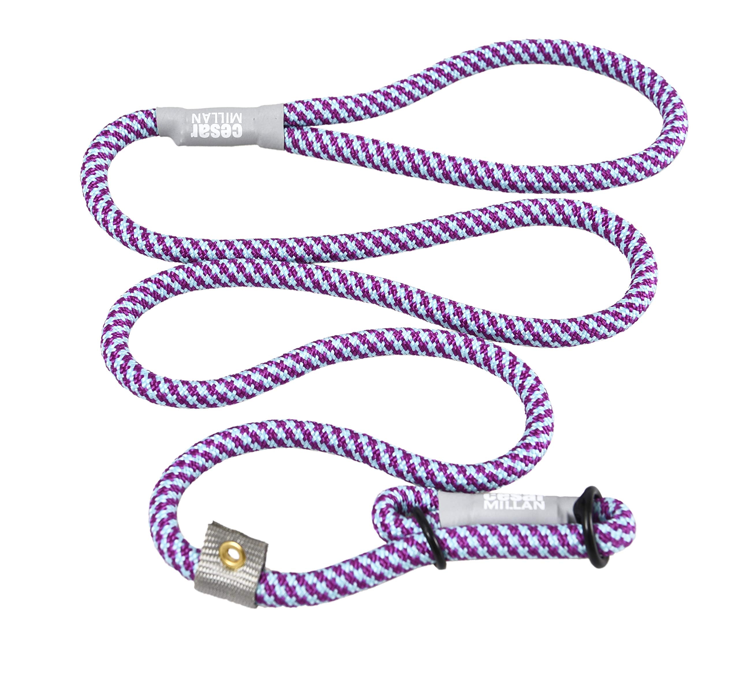 Cesar Millan Slip Lead Leash™ - 2-In-1 Slip Collar Dog Training Lead & Collar | Heavy Duty Durable Weatherproof Rope Leash, No Pull Training | Length 4Ft Diameter 4/10”(Regular, Aqua/Purple)