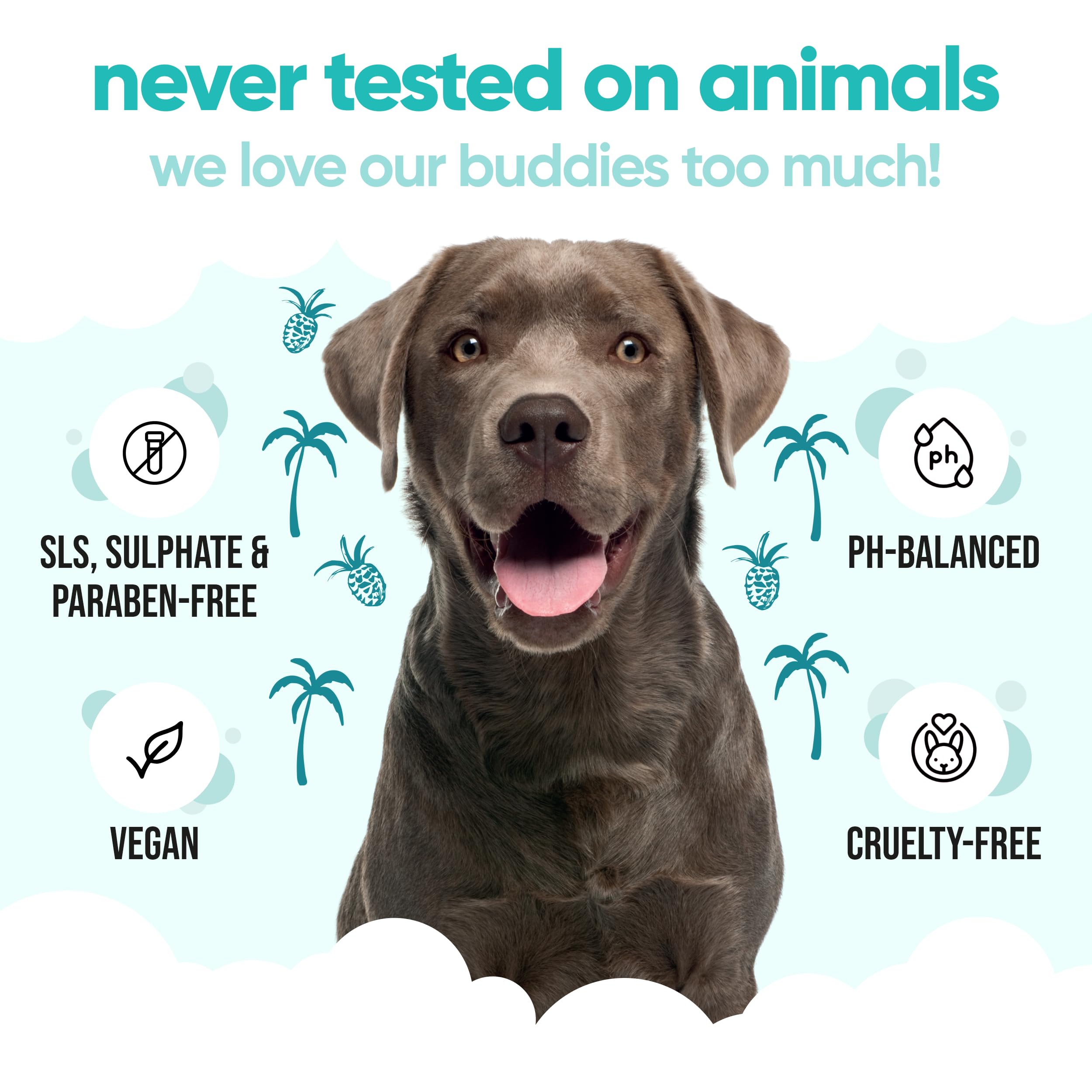 Tropical Dog Shampoo By Buddycare | Deep Cleansing Shampoo For Dogs | Tropical Scented | With Aloe Vera And Pro Vitamin B5 (33.8