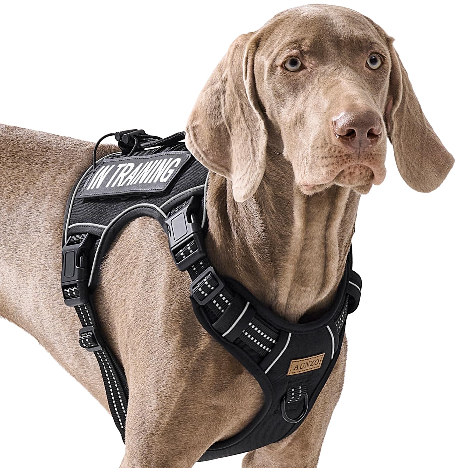 AUNZO Tactical Dog Harness for Large Dogs, for Golden Retriever, Labrador, German Shepherd etc, No Pull Reflective No Choke Adju