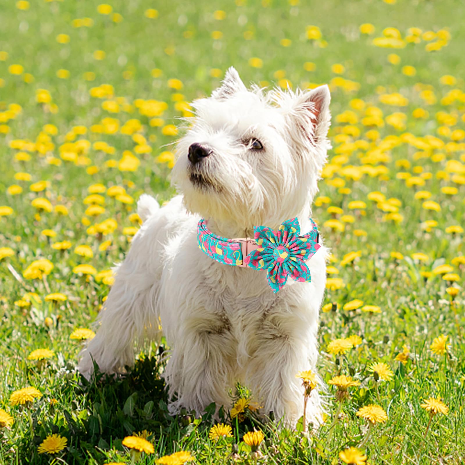 Unique Style Paws Summer Dog Collar With Floral Bow,Flamingo Bow Tie Puppy Collar, Cute Green Dog Bow Collar For Small,Medium,La