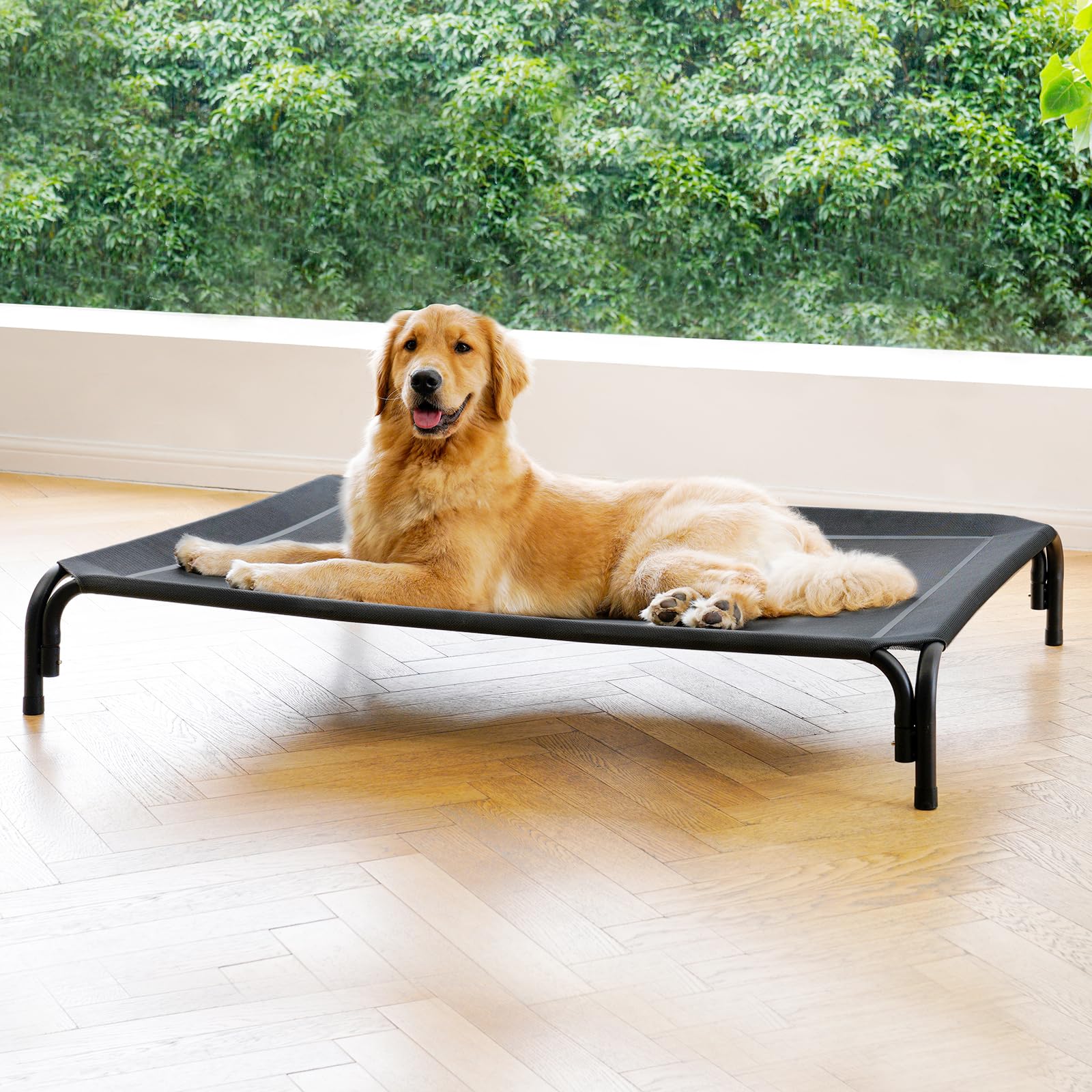 Elevated Dog Bed Raised Outdoor Dog Cot For Extra Large Dogs, Installation Requires No Tools, Frame With Washable Cooling Breath