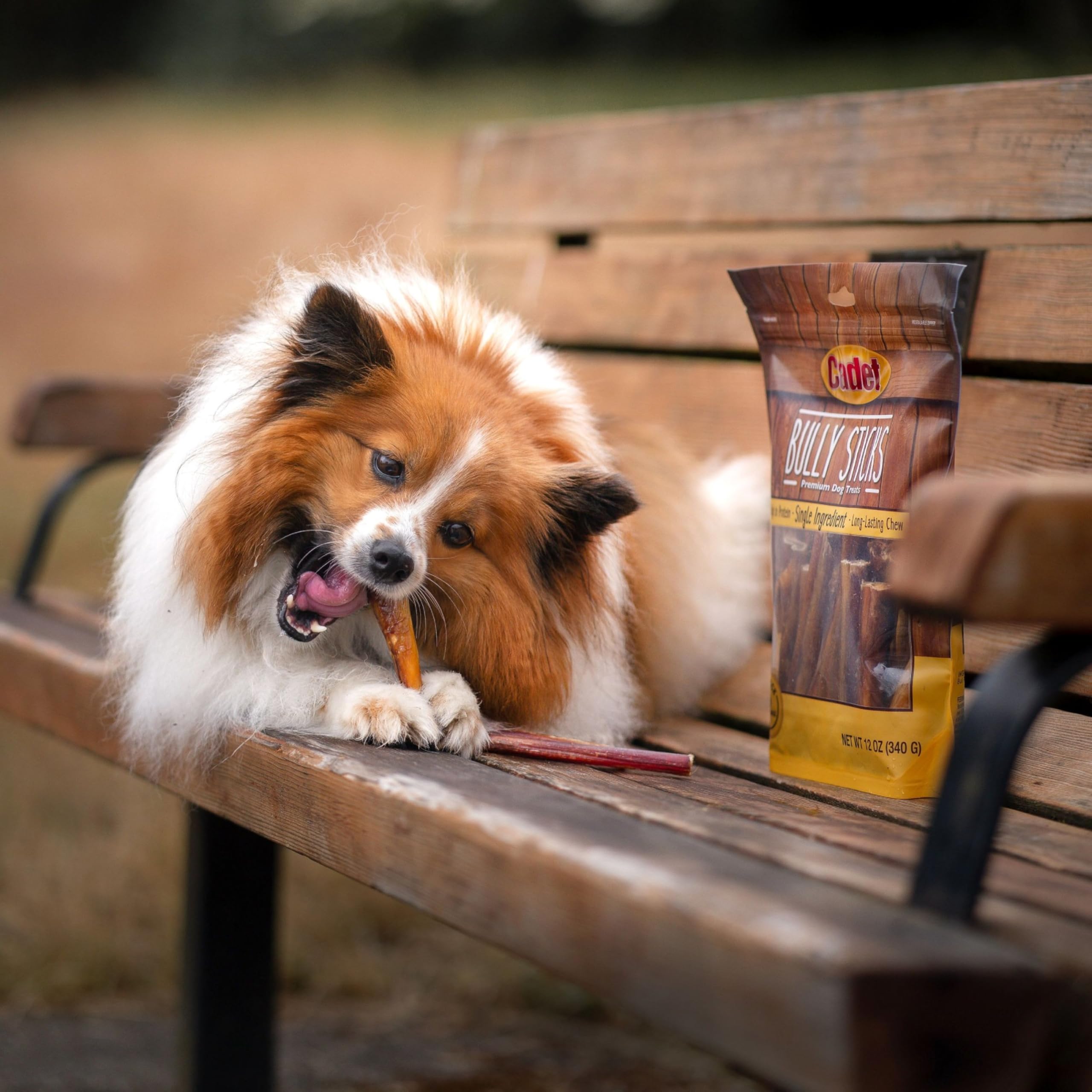 Cadet Bully Sticks for Small Dogs - All-Natural Beef Pizzle, High Protein, Low Fat, Long-Lasting, Grain & Rawhide-Free Dog Chews