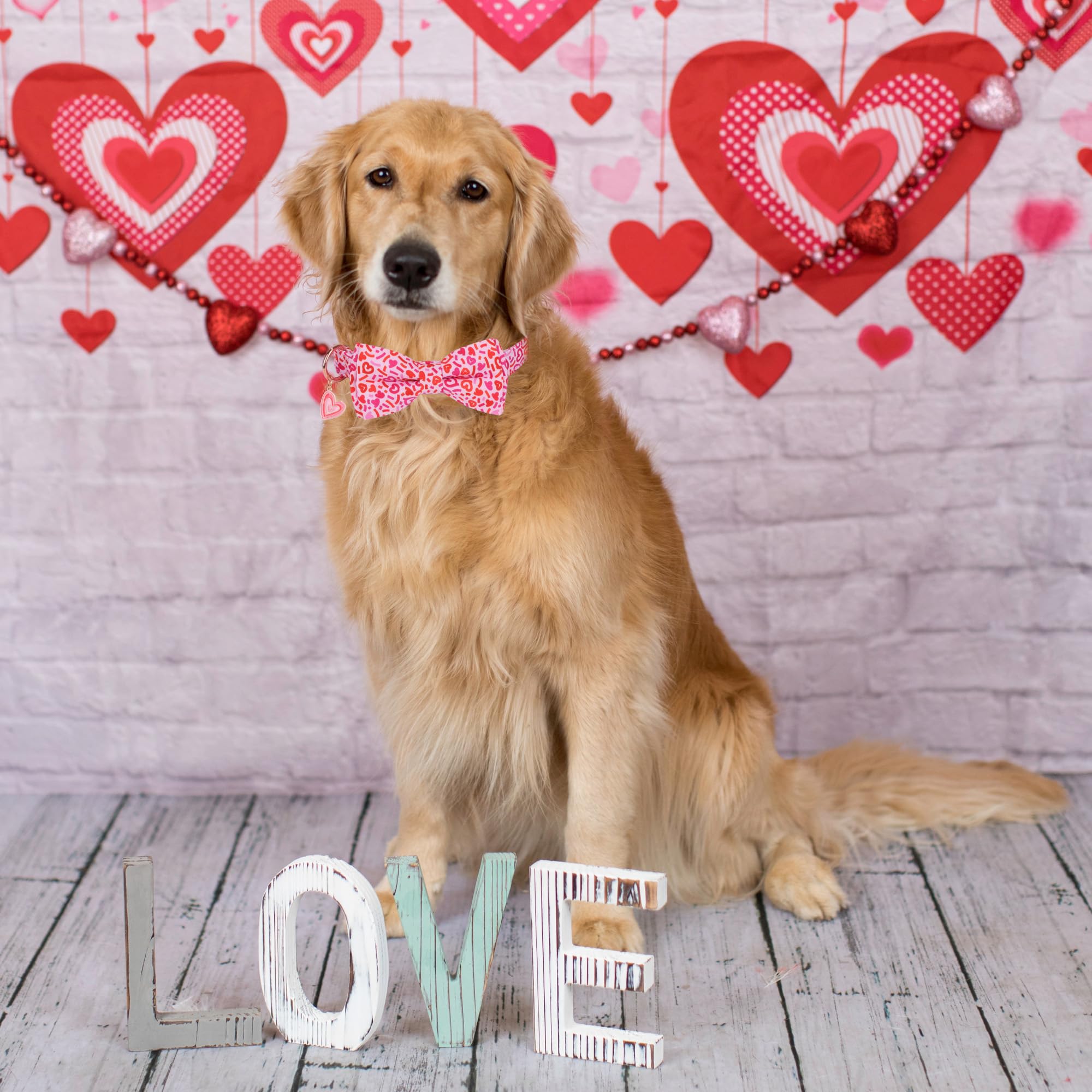 Adoggygo Valentine Dog Collar With Bow, Metal Buckle, Adjustable Pink Heart Bowtie Pet Valentine Collars For Large And Extra Lar