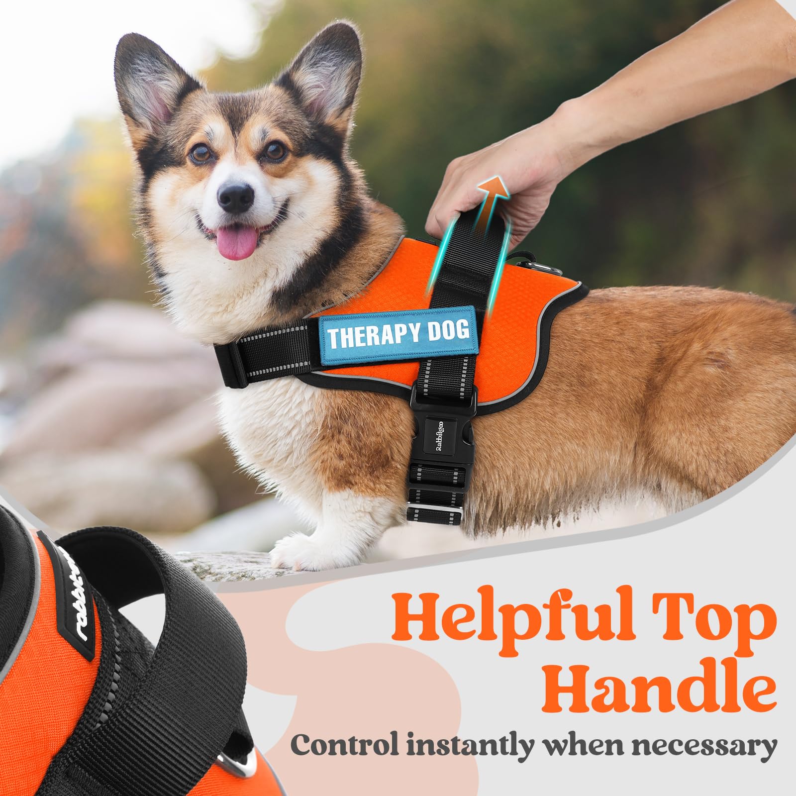 Rabbitgoo Dog Harness For Small, Easy On Pet Vest With One Buckle, No Pull Adjustable Service Harness With D-Ring & Handle, Refl