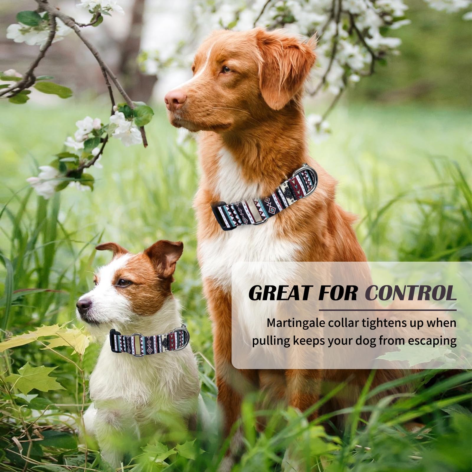 Hikiko Martingale Collar For Dogs With Bohemia Tribal Pattern Soft Nylon Strong Dog Collars For Small Medium Large Dogs Walking