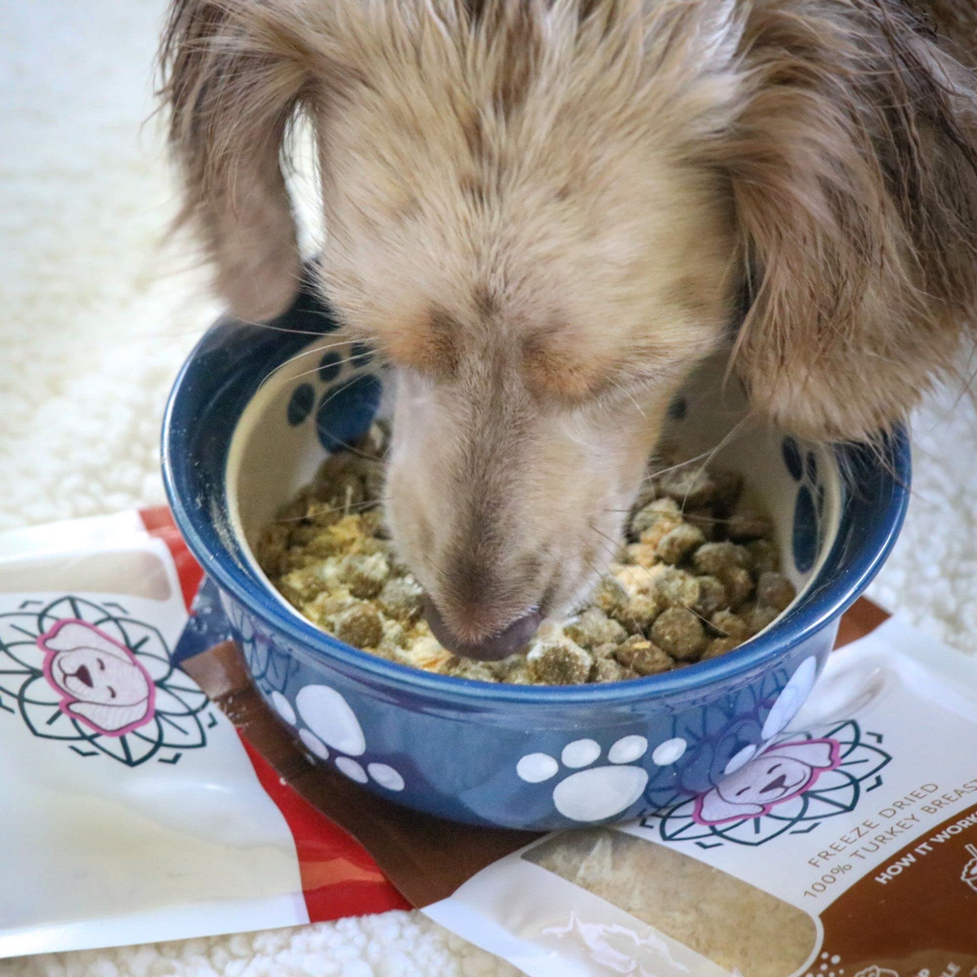 HOLI Rabbit Single Ingredient Dog Food Protein Topper - Made in USA - Human-Grade Freeze Dried Dog Food Mix in Topping - Grain F