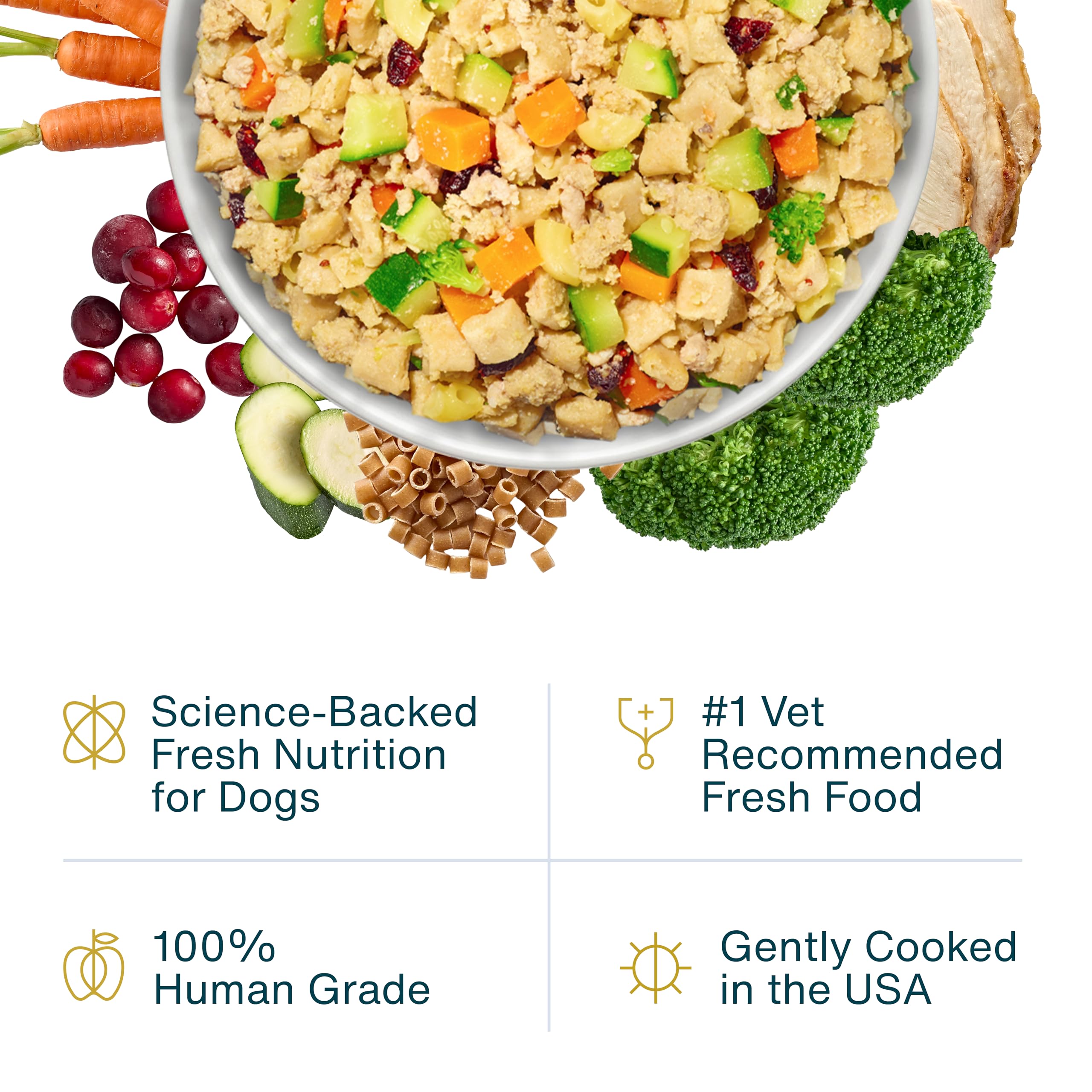 JustFoodForDogs Frozen Fresh Dog Food, Complete Meal or Dog Food Topper, Turkey & Whole Wheat Macaroni Human Grade Dog Food Reci