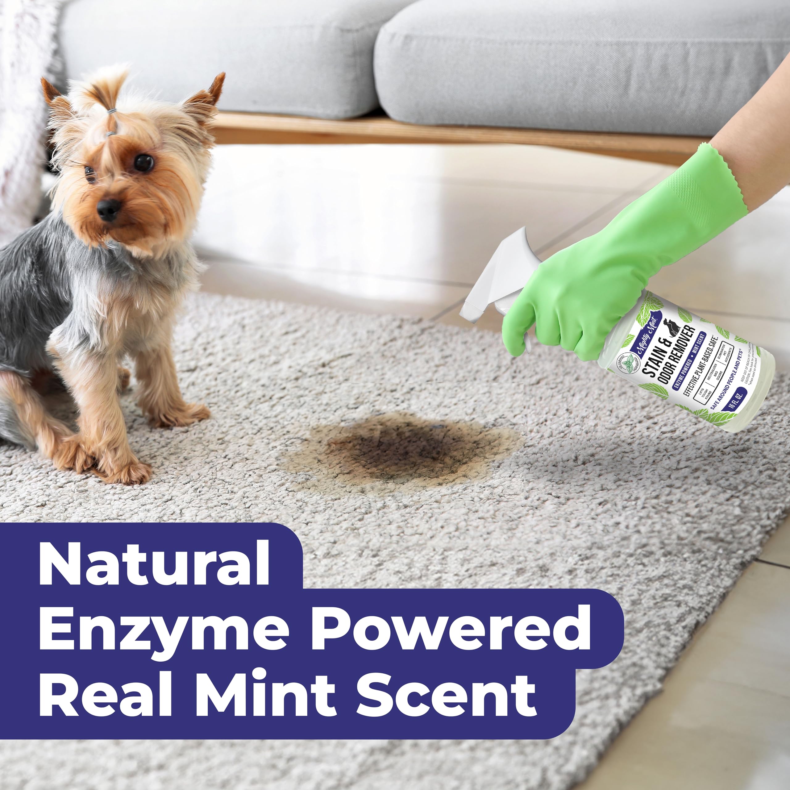 Mighty Mint Stain & Odor Remover, Natural Enzyme Spray Safely Neutralizes Odor And Stains From Dogs, Cats On Carpet, Furniture,