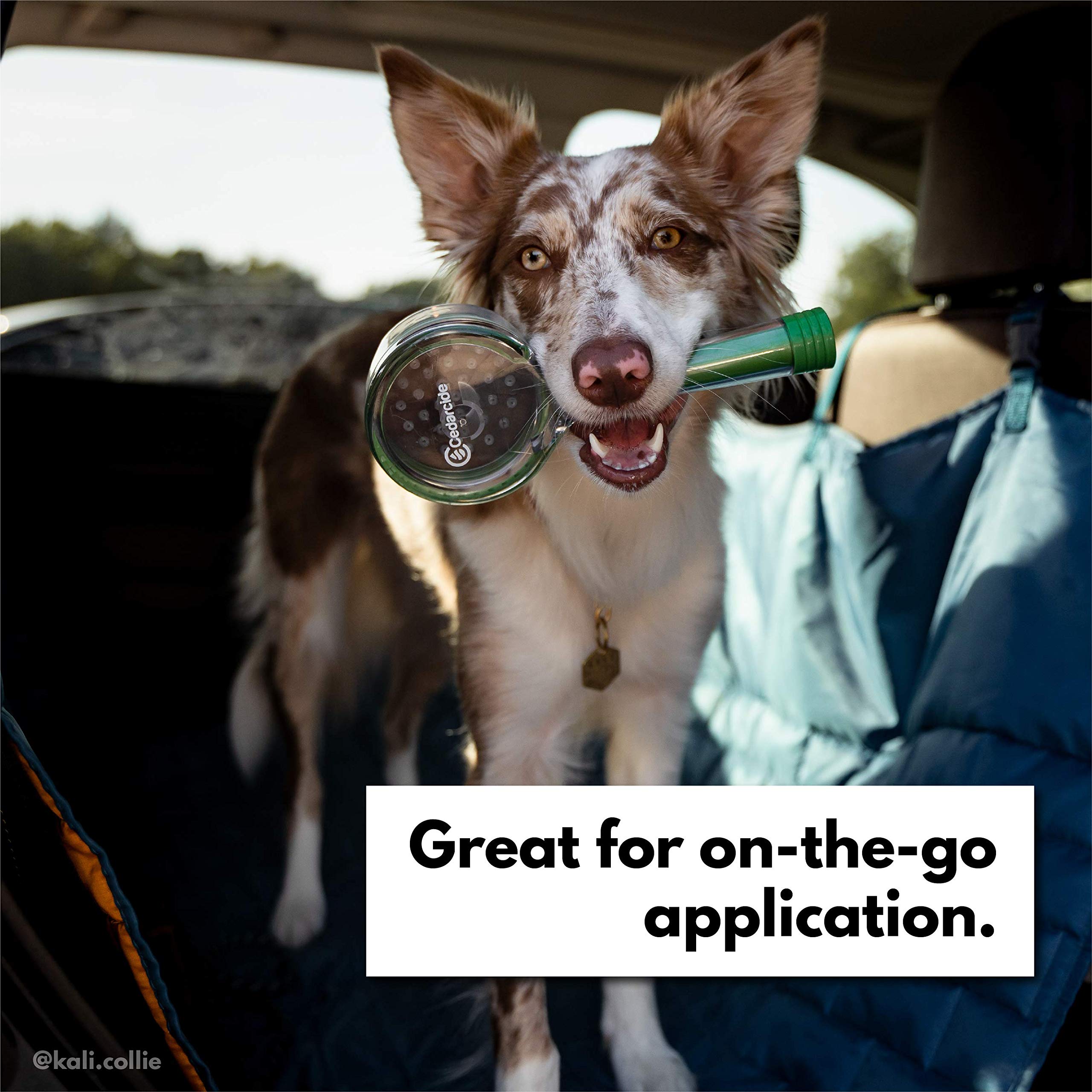 Cedarcide Flea + Tick Pet Brush (4 oz Pack) | Durable Grooming Brush Effectively Applies Cedarcide Original Biting Insect Spray