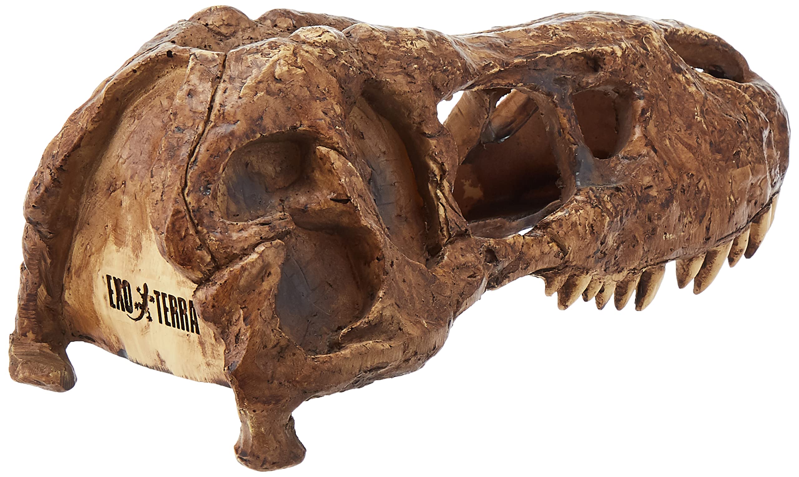 Exo Terra T-Rex Skull Terrarium Decor