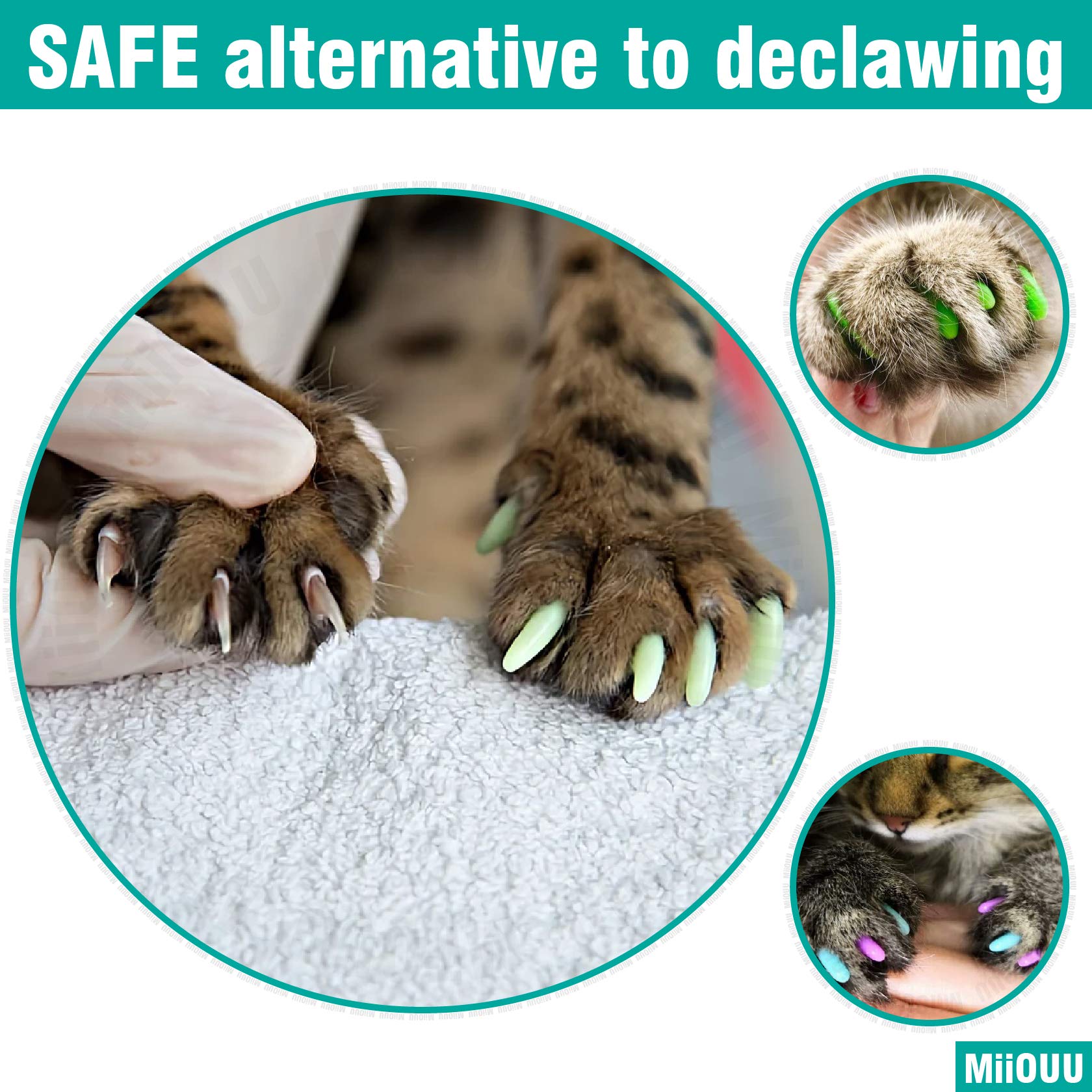 Miiouu 10X Colors / 100 Pcs Cat Nail Caps | Cat Claw Covers With Adhesives And Applicators | Alpha (M)