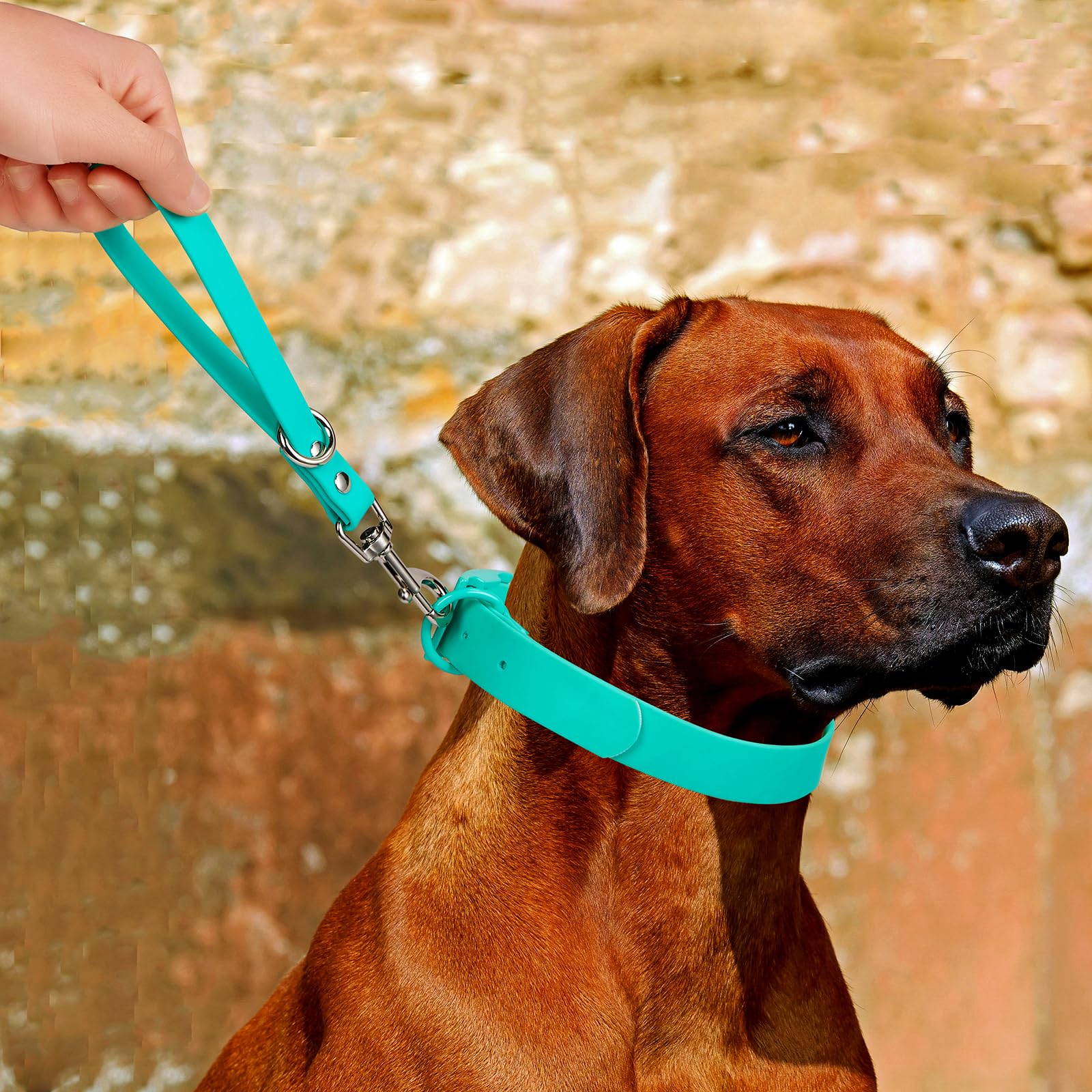 Short Dog Leash - 9 Inch Dogs Lead Green Grab Tab Heavy Duty Waterproof Pvc Dog Training Traffic Leashes For Safety Control Beha