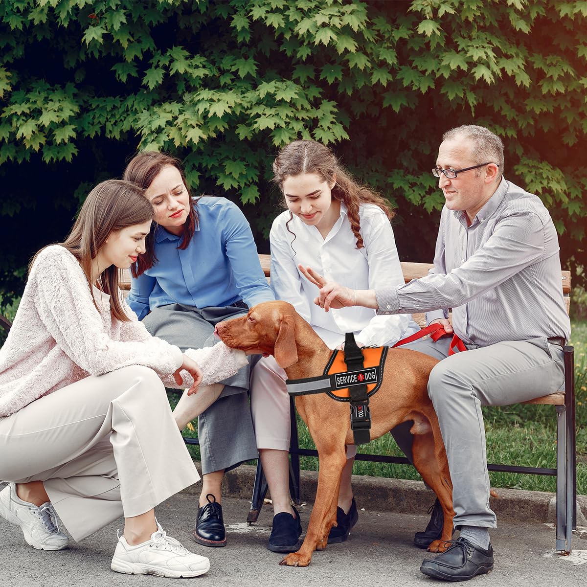 Dogline Service Dog Patch For Harness And Vest Removable 3D Rubber Patches Hook Backing For Small Or Large Working Dogs