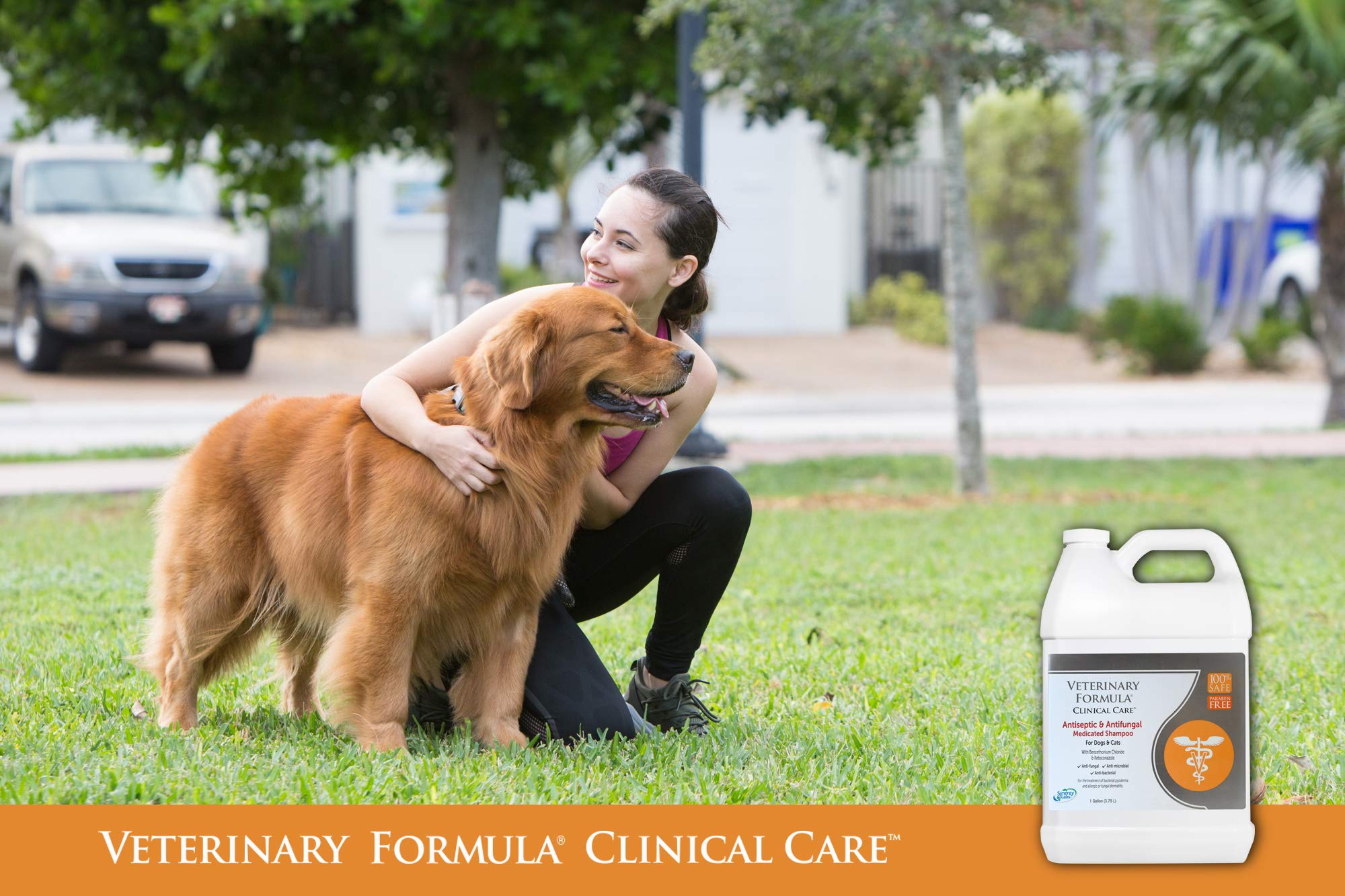Veterinary Formula Medicated Shampoo for Dogs & Cats, Antiseptic & Antifungal, 128 Fl Oz, Paraben & Dye Free, Model SYL-110