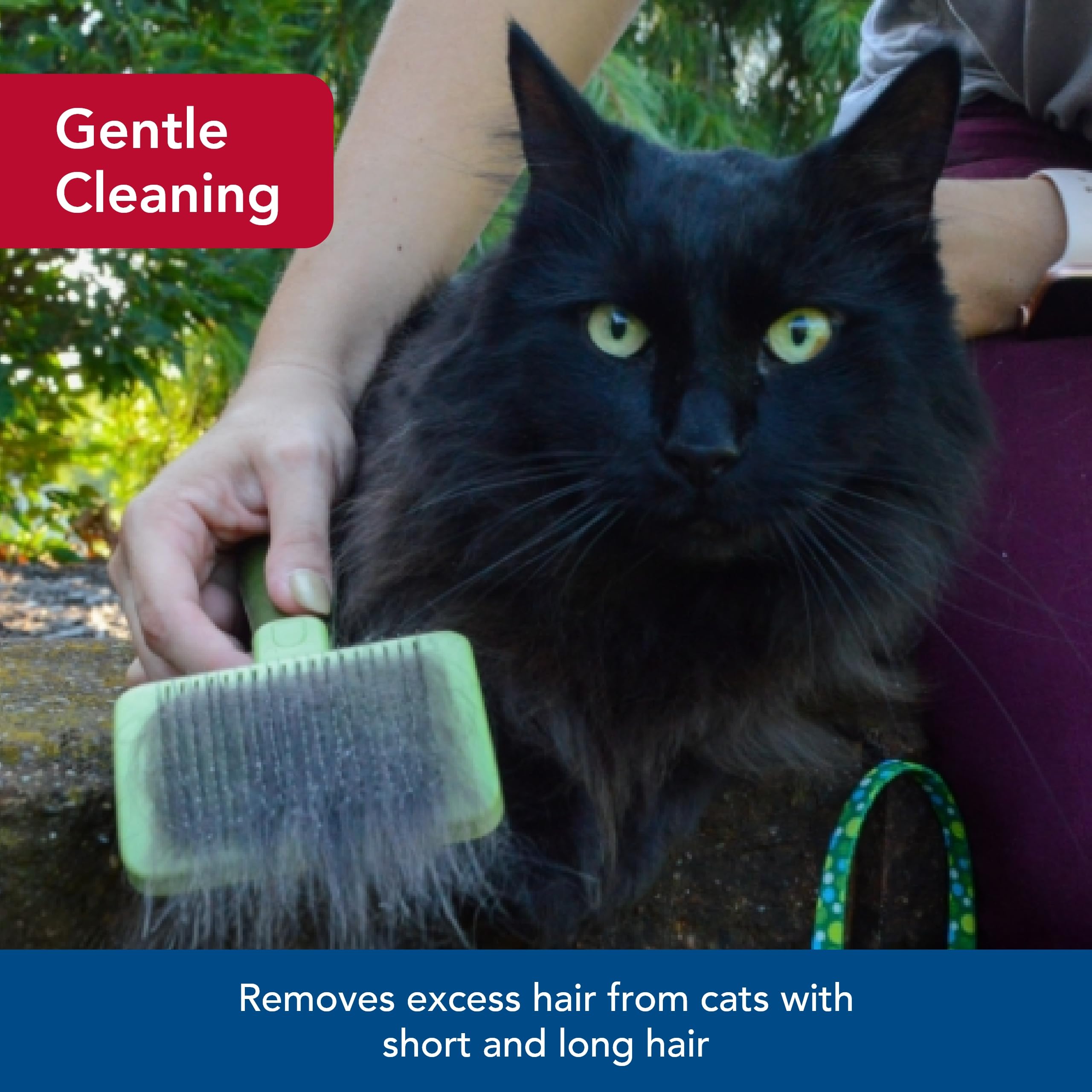 Coastal Pet Safari - Cat Soft Slicker Brush (6.5 X 3.5 Inches)