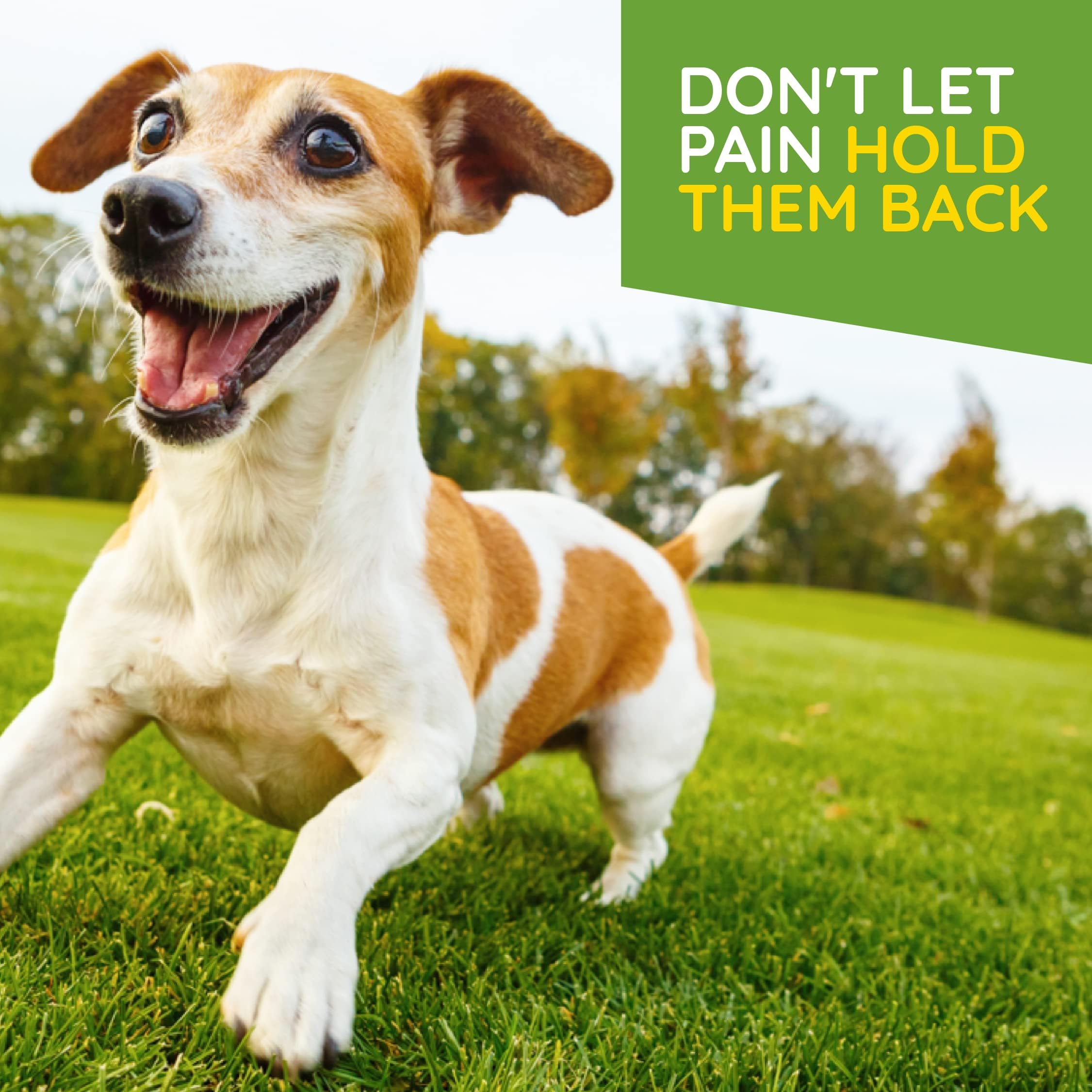 MediNatura T-Relief Pet Arthritis Pain Relief Arnica +12 Powerful Natural Medicines Help Reduce Hip & Joint Pain, Soreness & Sti