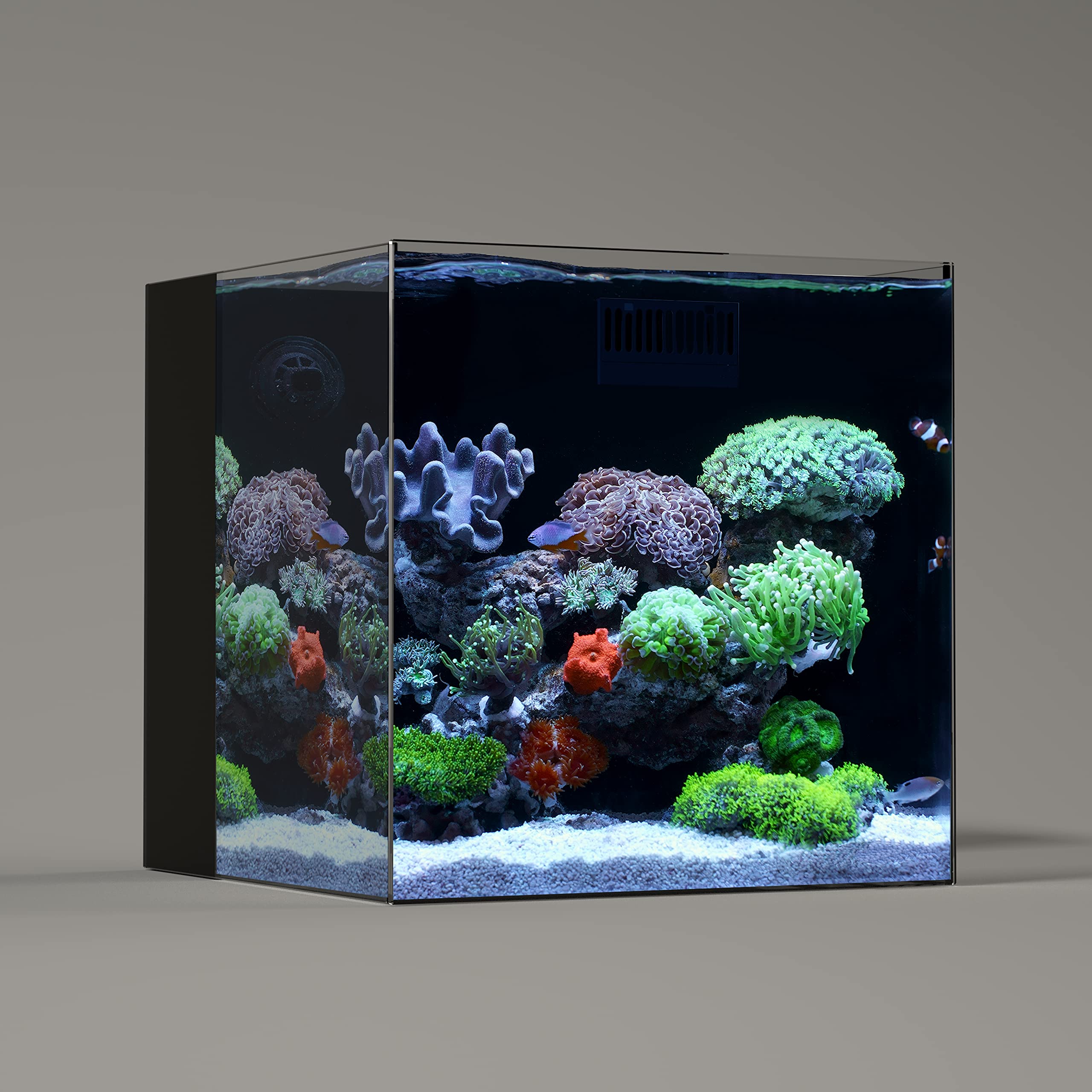 Landen 40C 11 Gallon Ultra Clear Glass Rimless Low Iron Aquarium Tank With Rear Filtration Chamber(Return Pump Included) For Sal