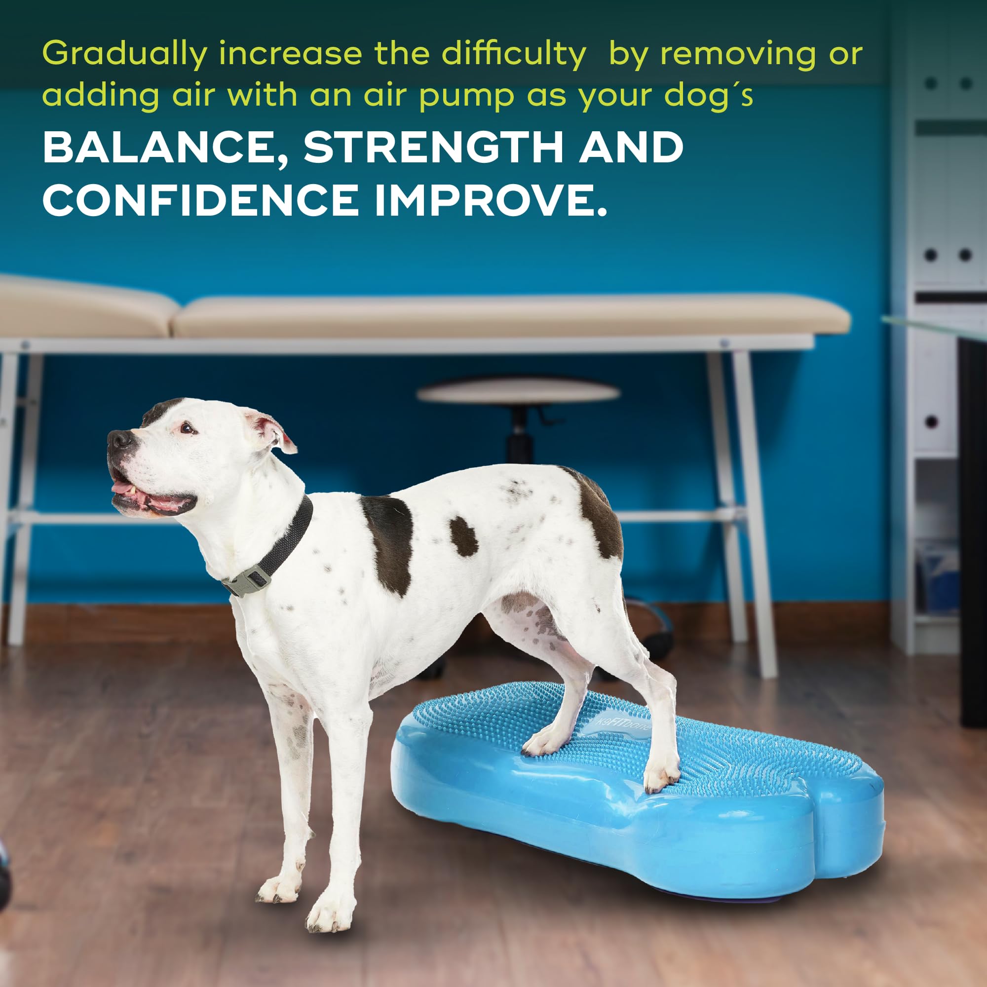 Fitpaws® K9Fitbone® - Giant, Turquoise | Dog Balance Training Platform & Exercise Equipment | Workout Tool For Strength, Core & Stability