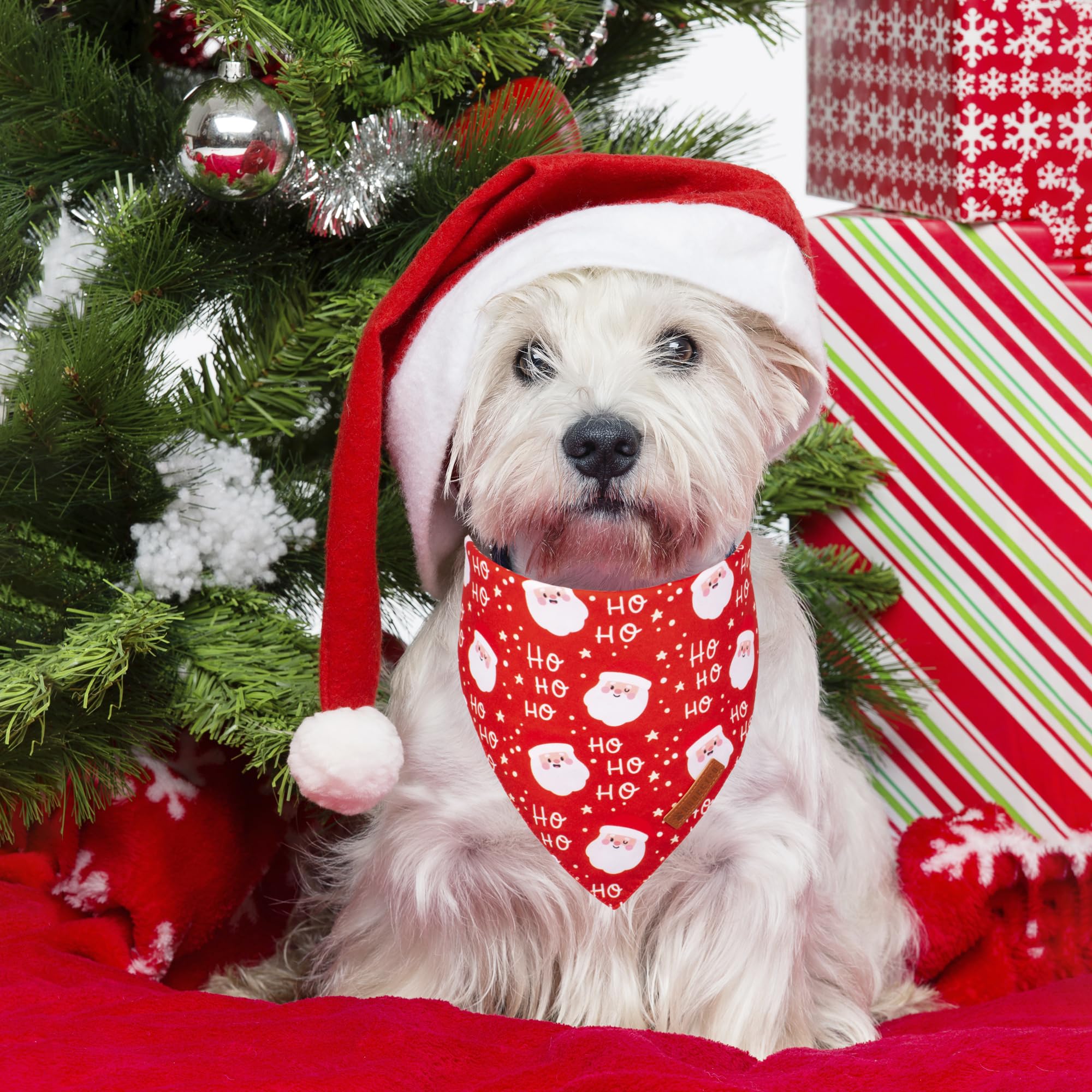 ADOGGYGO Christmas Dog Bandanas, Snowman Santa Xmas Pet Scarf, Multi Size Offered, Red Green Christmas Bandana for Small Dogs Pe