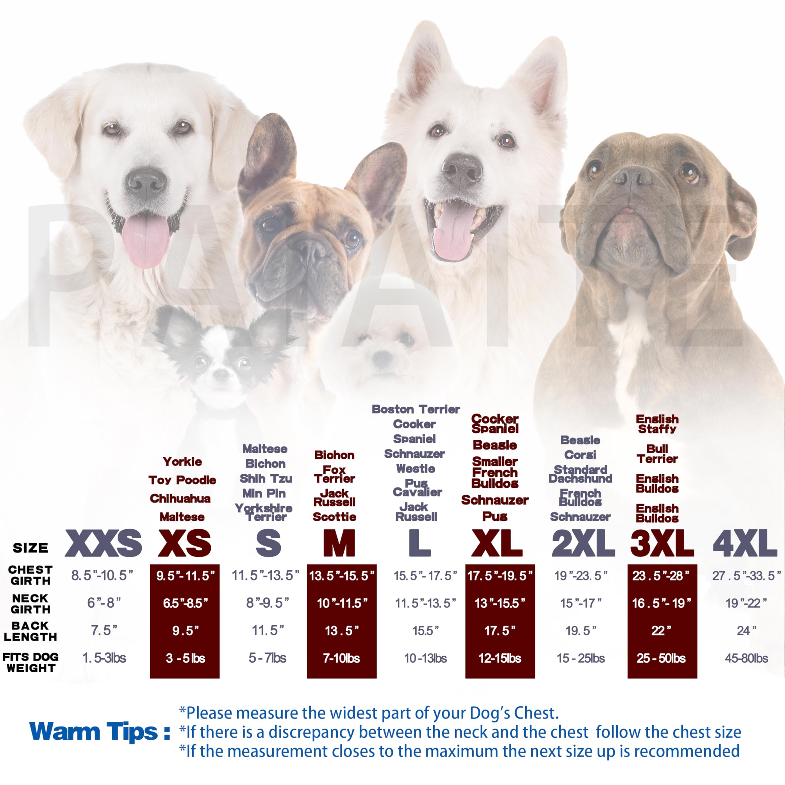 Paiaite Black Chihuahua Dog Hoodie: Keep Your Pup Warm, Stylish With A 'The Dog Face' Printed Sweatshirt Pet Clothes And Sweater