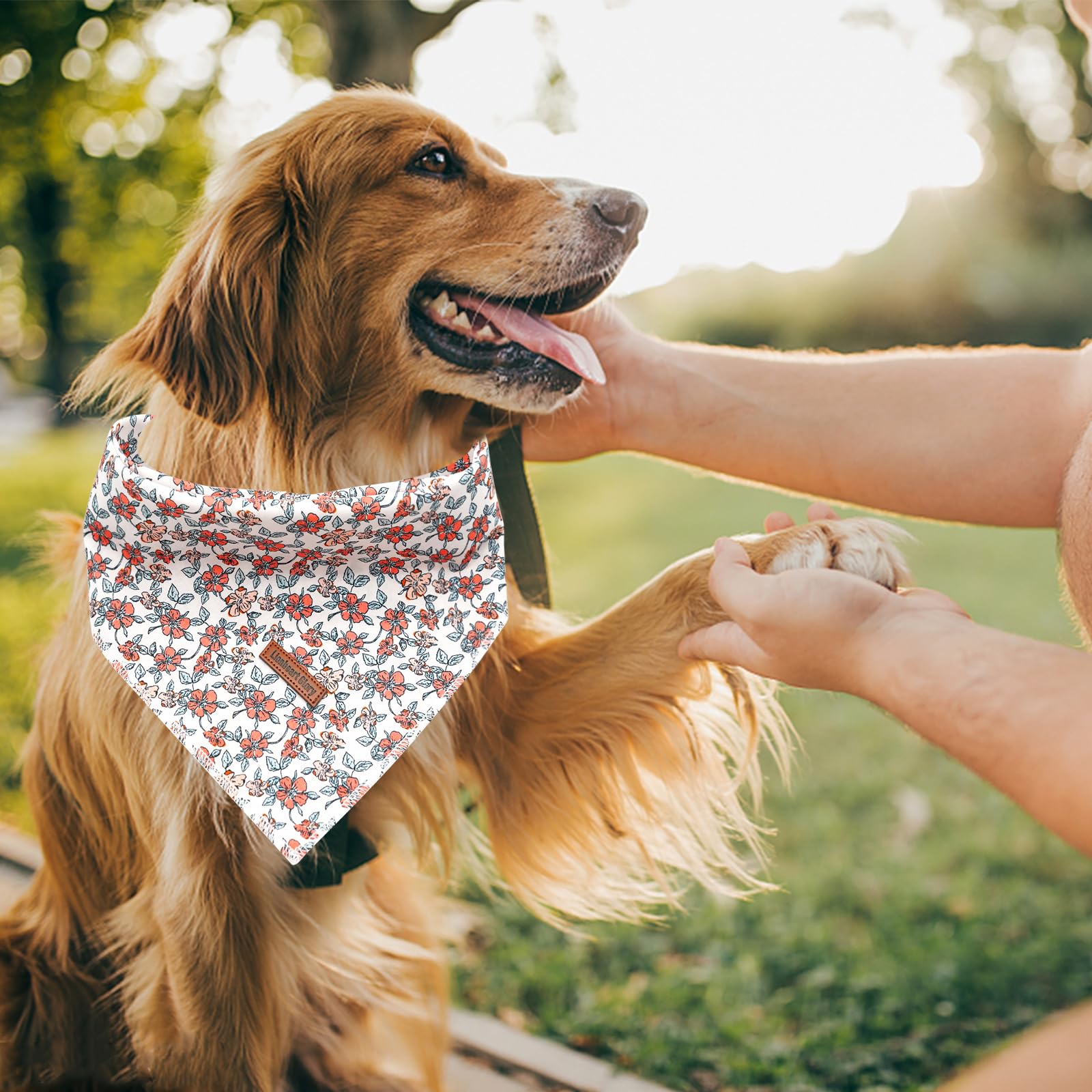 Lionheart Glory Dog Bandana - Washable Soft Scarf, Fall Bib For Small To Large Puppies - Adjustable Square Bandana For Boys And
