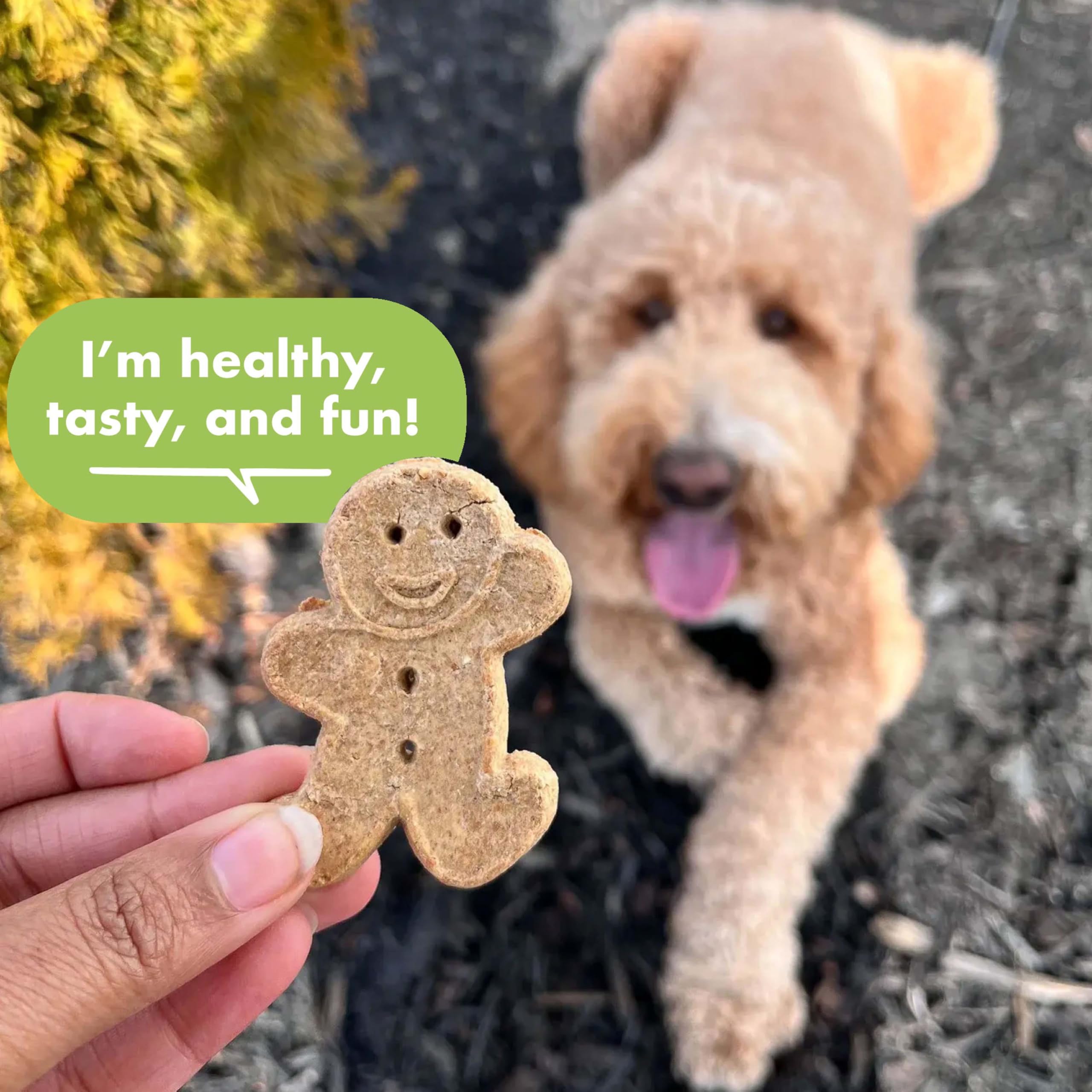 Buddy Biscuits 14 oz Box of Grain-Free Crunchy Dog Treats Made with Natural Roasted Chicken
