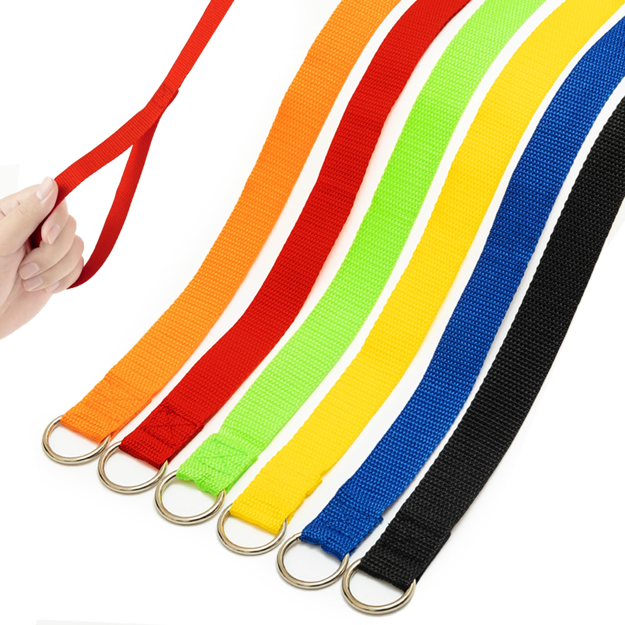 Petpmeee Slip Lead Dog Leash, 6 Ft Short Dog Leash With O-Ring For Walking Rescues Training Running Grooming Shelter, Strong Dog Leashes Control Small Meidum Large Dogs/Puppy