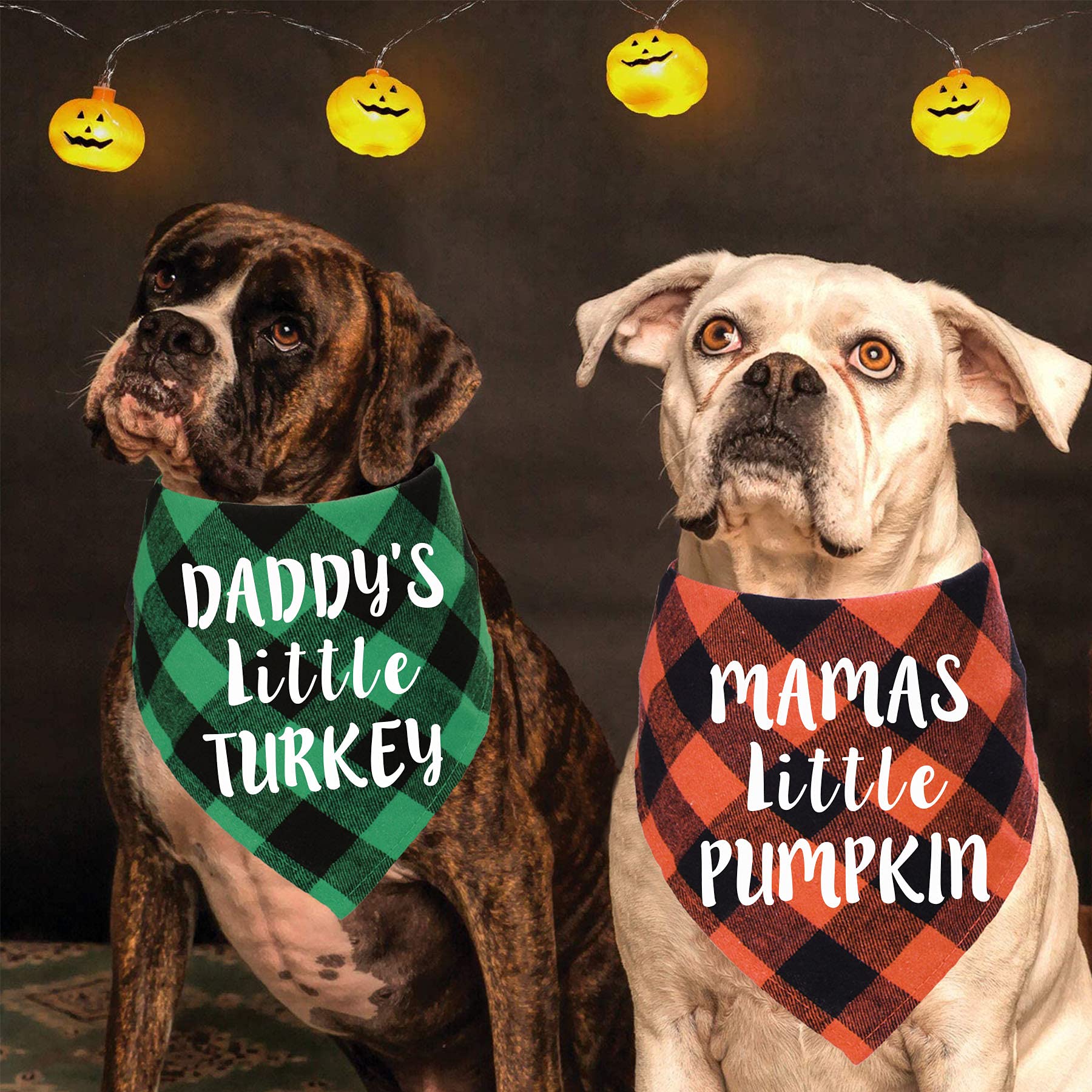 Stmk Holiday Plaid Dog Bandanas, Halloween Thanksgiving Day Daddy’S Little Turkey Mamas Little Pumpkin Dog Bandana Scarf For Halloween Thanksgiving Day Dog Puppy Costume Decorations