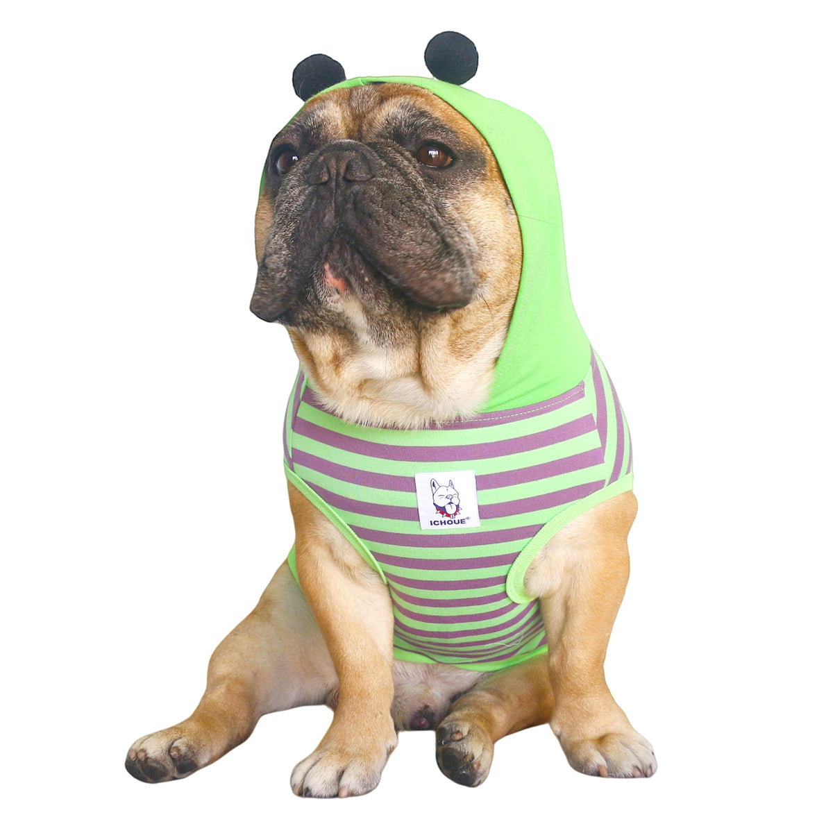 Ichoue I Am A French Bulldog Bumble Bee Halloween Costumes Clothes Hoodies Shirts Vest For Medium Dogs Cold Weather Winter Coats Frenchie English Pug Pitbull Boston Terrier - Green Purple, Large