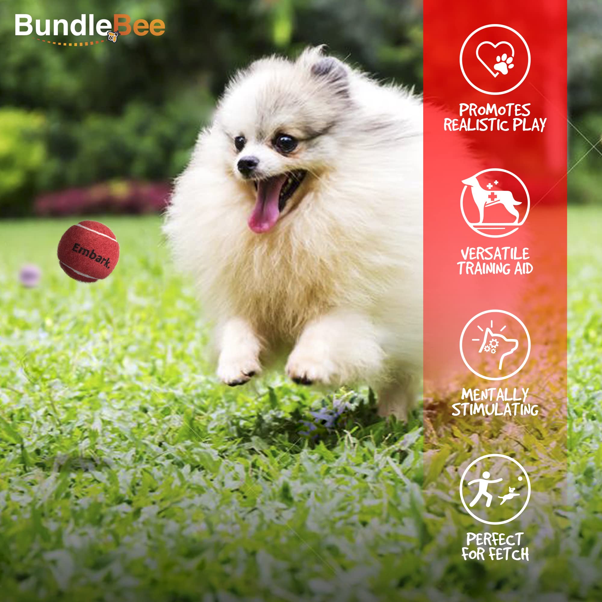 Colorful Squeaky Tennis Balls For Small Dogs And Puppies - 1.5 Inch - 12 Pack - Dog Training Toys For Positive Reinforcement, In