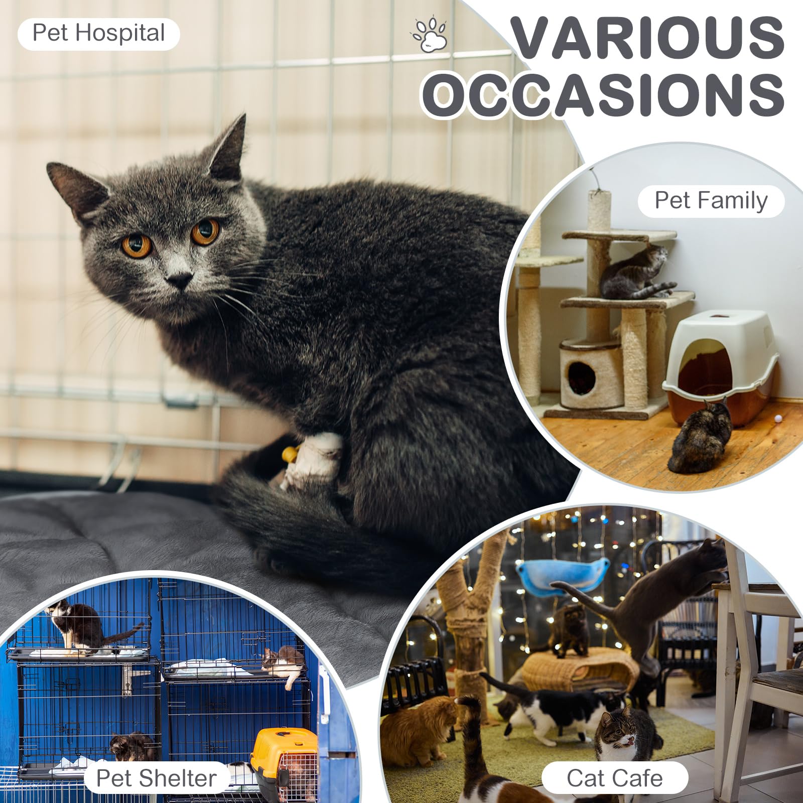 Clysee 8 Pack Self Heating Cat Mat Self Warming Cat Bed 20''X16'' Extra Warm Thermal Pet Bed Mat Reflects Body Heat Washable Dog