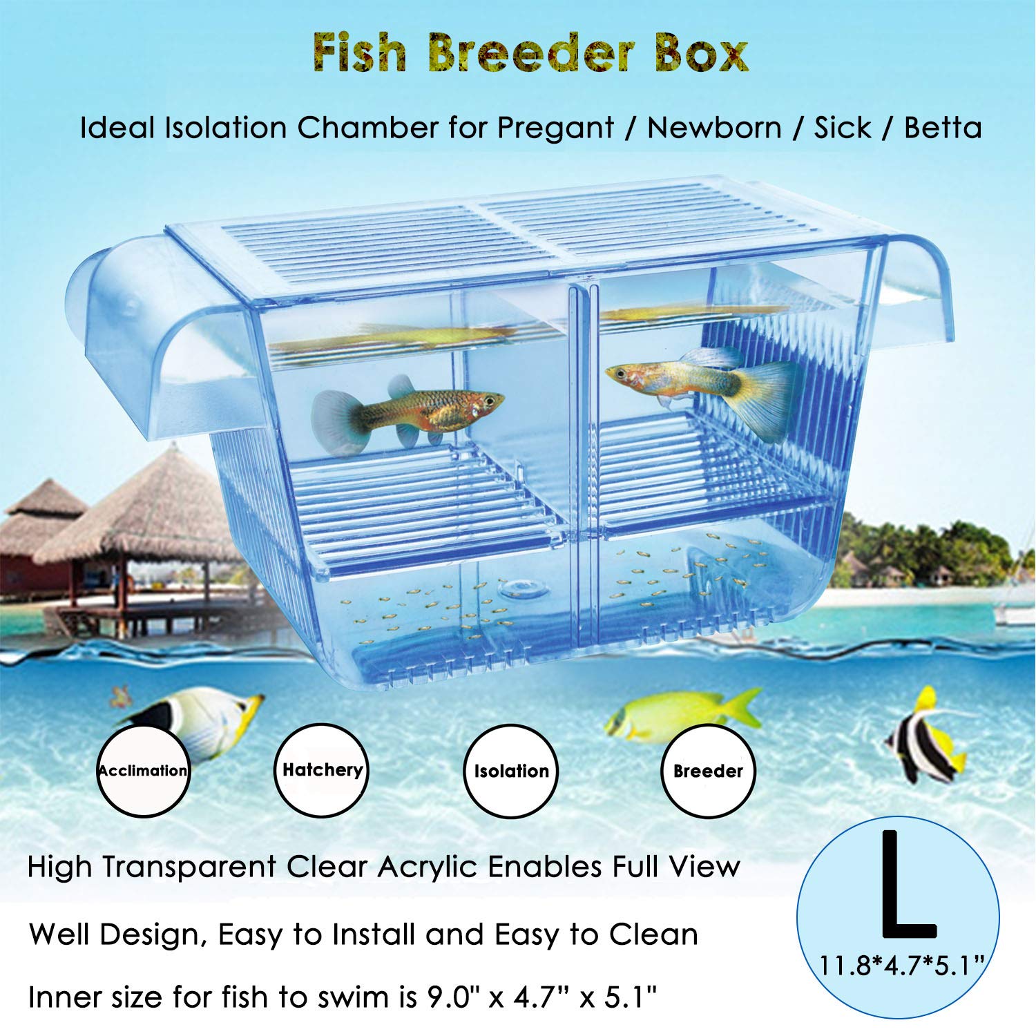 Fish Breeder Box Fish Hatchery Floating Fish Breeding Box with Removable Grating Perfect Fish Tank Divider for Agreesive Injured