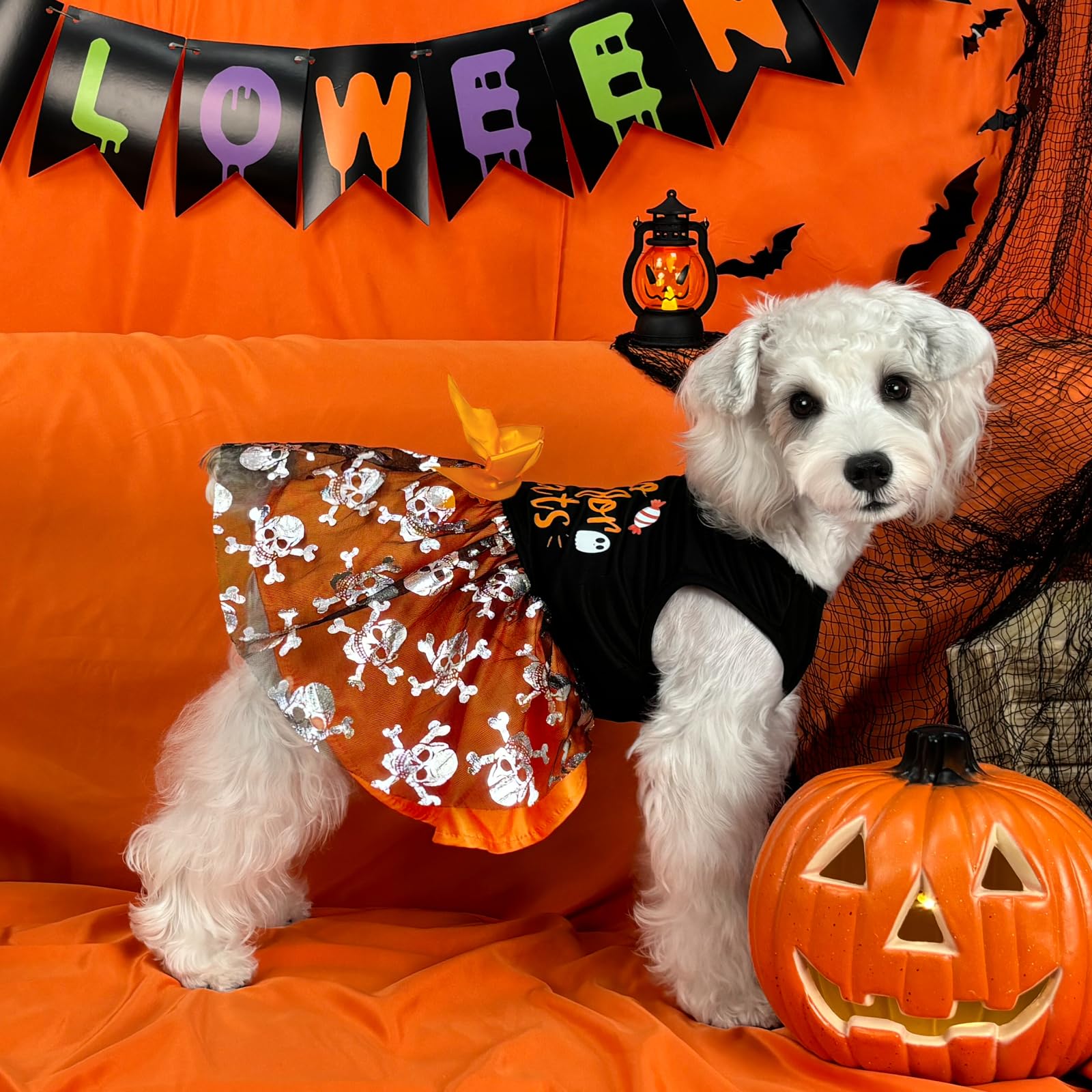 Xpudac Halloween Dog Dress Costumes For Small Dogs Girl Tulle Dress Dog Clothes Skull Holiday Pet Costume Cat Outfits, Orange-Me