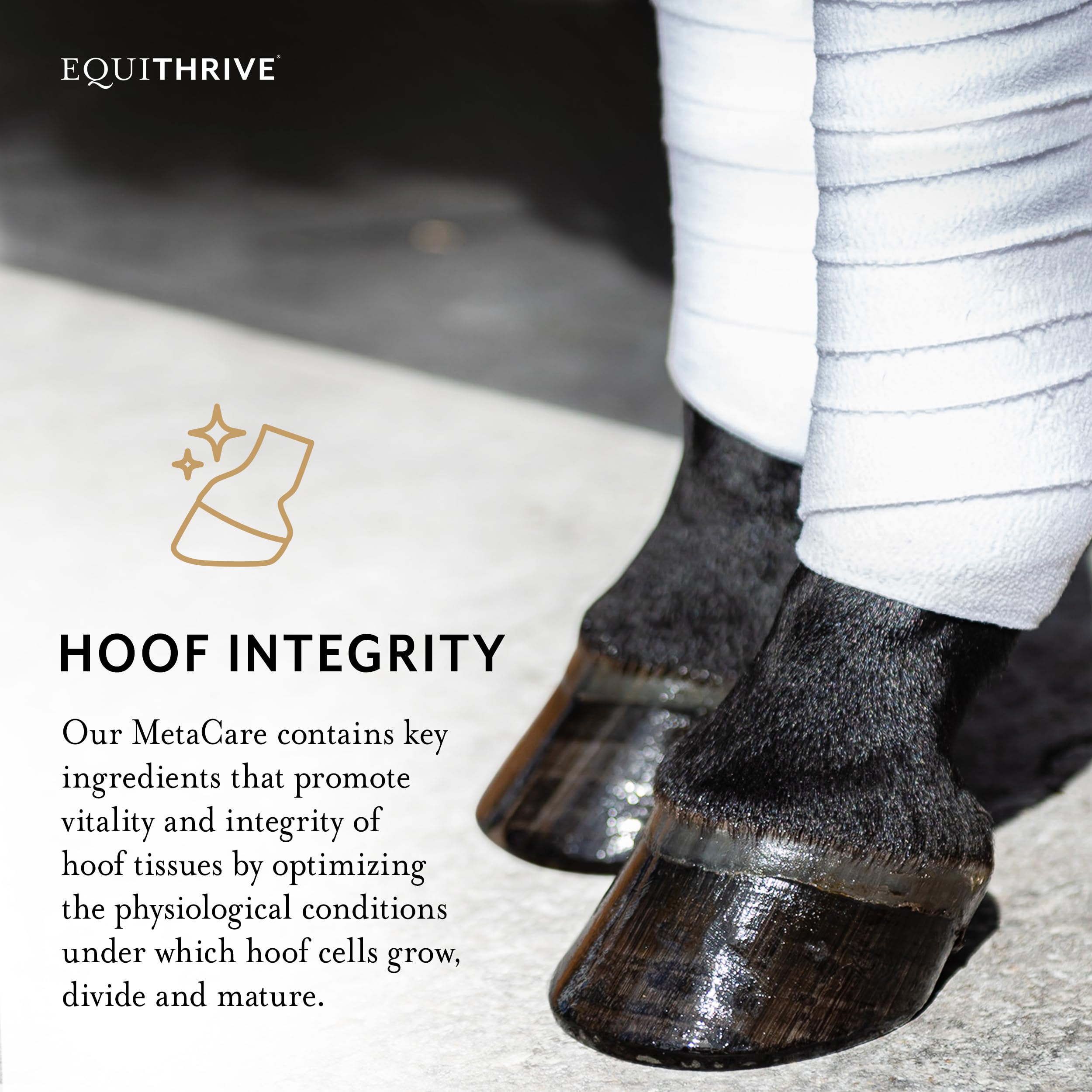 Equithrive MetaCare Horse Supplement Pellets with Resveratrol, Flavonoids and Amino Acids, Equine Metabolic Support, 3.3 lbs, 30