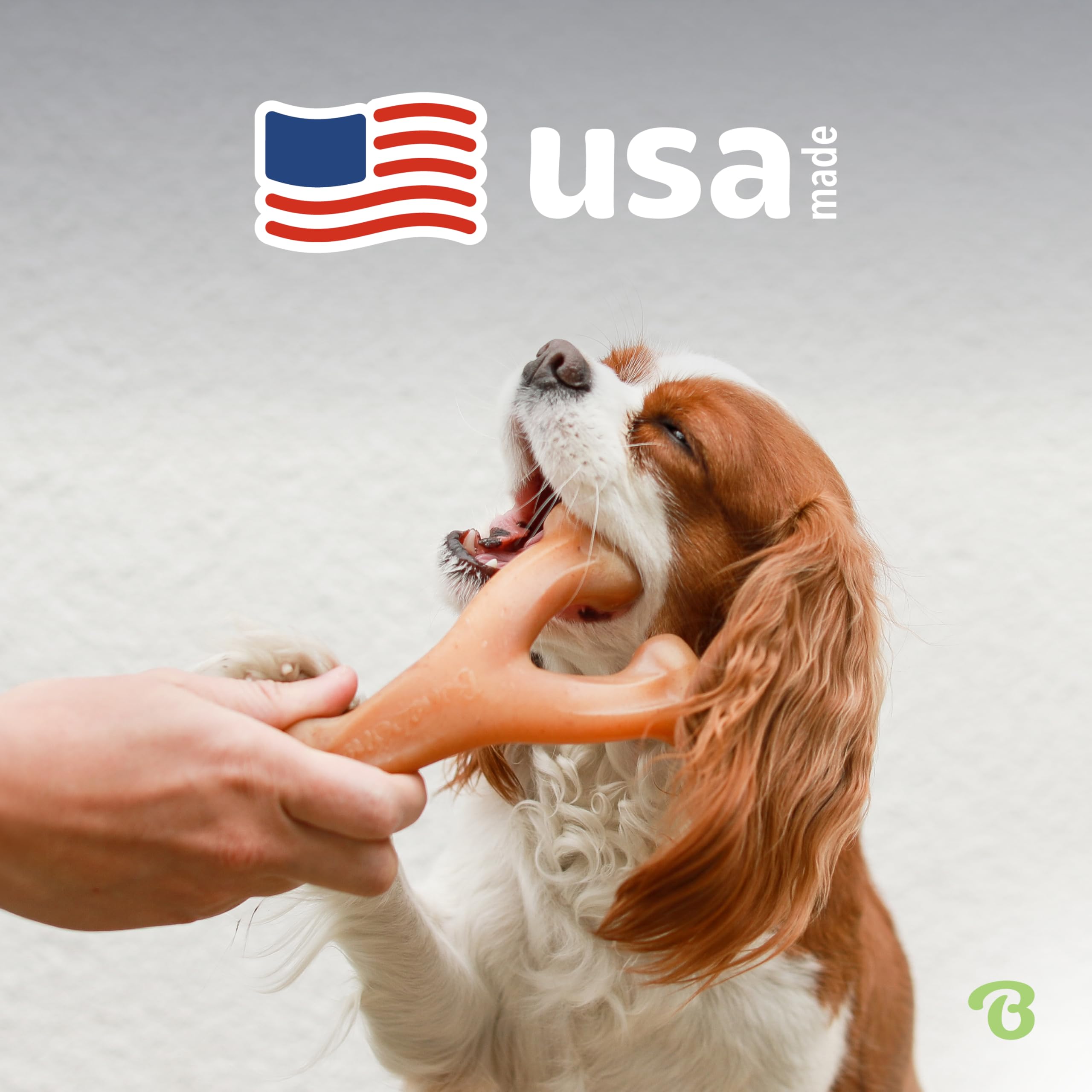 Small 3-Pack, Benebone Wishbone Durable Dog Chew Toy for Aggressive Chewers, Real Bacon, Chicken, Peanut Butter, Made in USA, Va