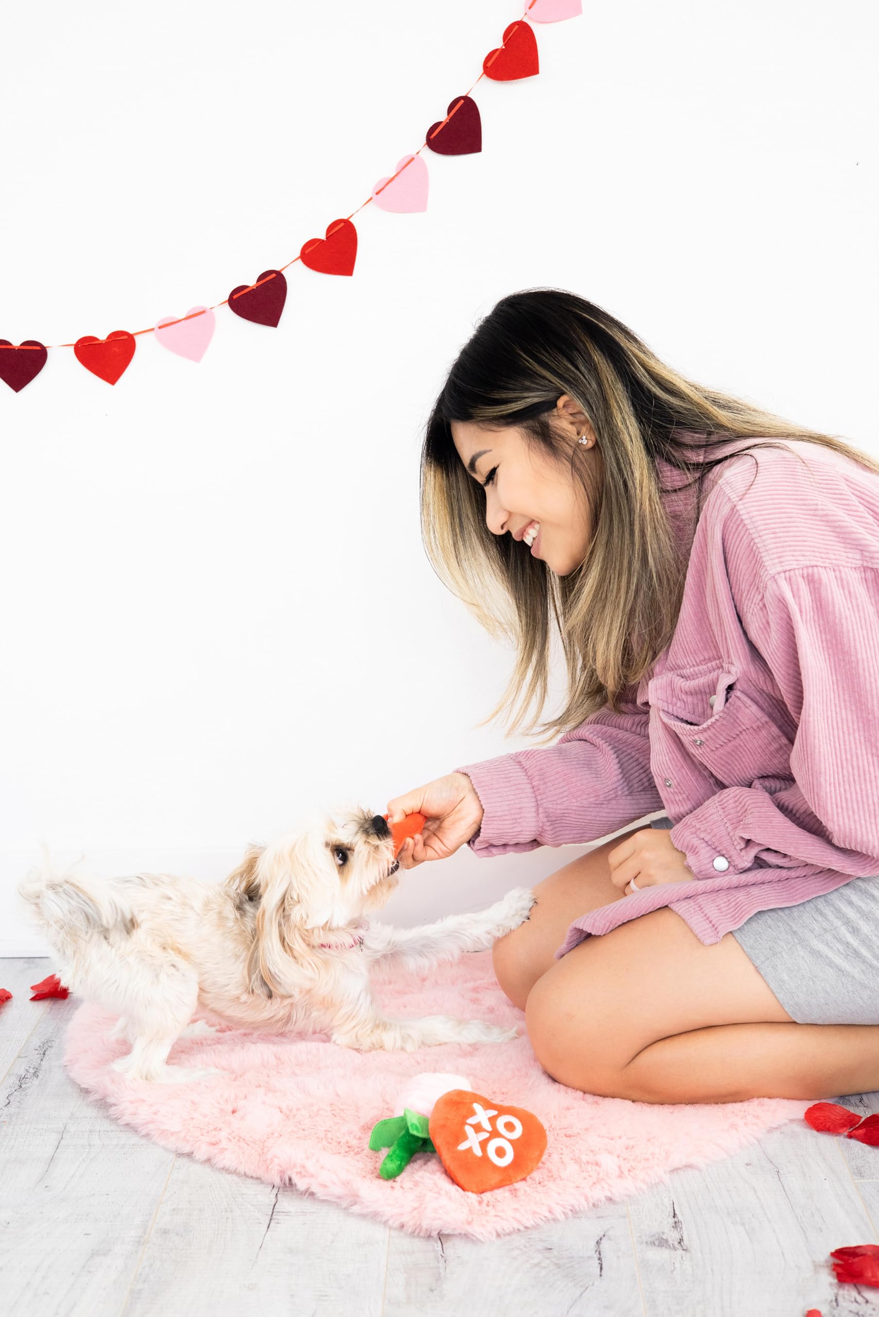 Pearhead Valentines Day Dog Toy Set, Holiday Pet Toys, Stuffed Plush Crinkle and Squeaky Toys for Dogs, Interactive Playtime fo