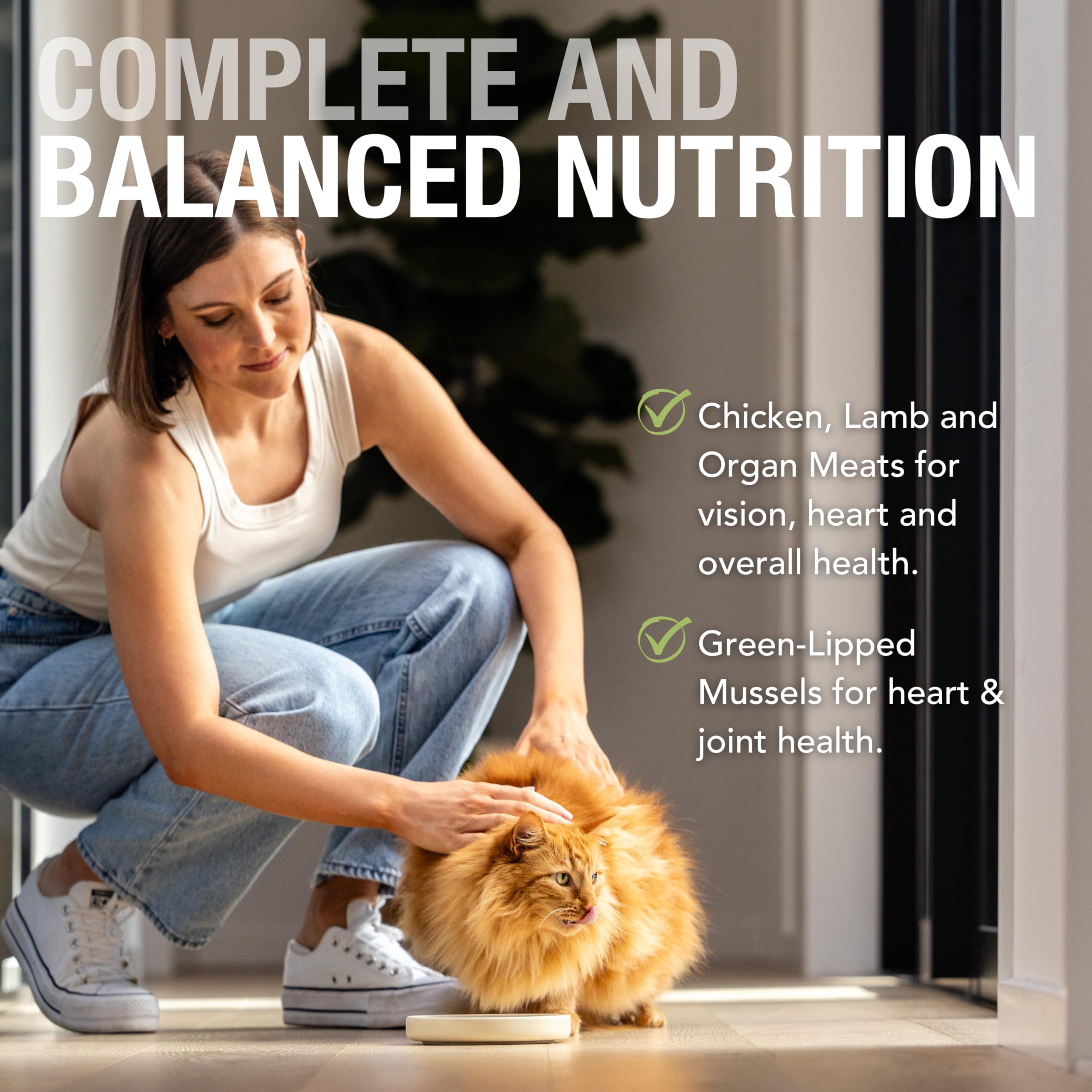 Feline Natural Wet Cat Food Pouch - Chicken & Lamb Feast, Grain-Free, 3oz, 12 Pack, New Zealand Made, Single Serve Pate
