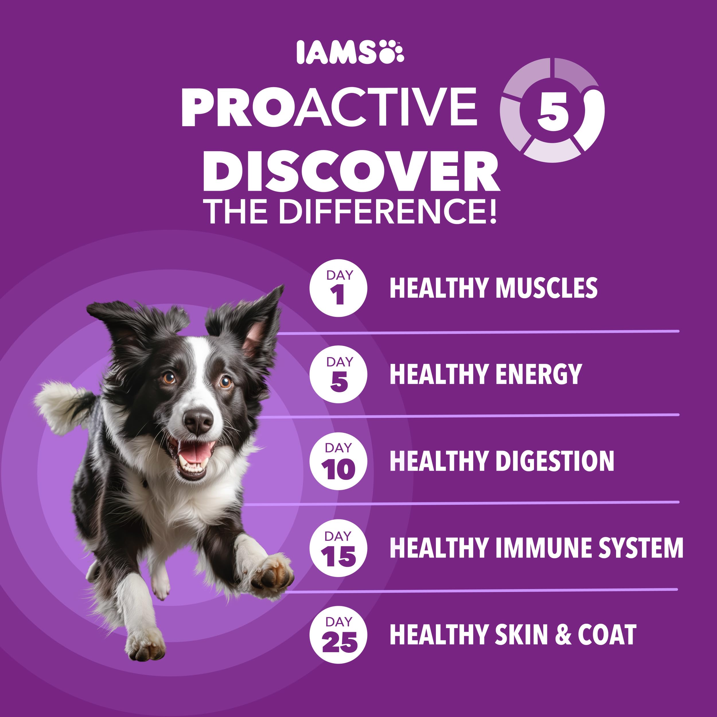 IAMS Advanced Health Skin & Coat Adult Dry Dog Food Chicken and Salmon Recipe, 6 lb. Bag