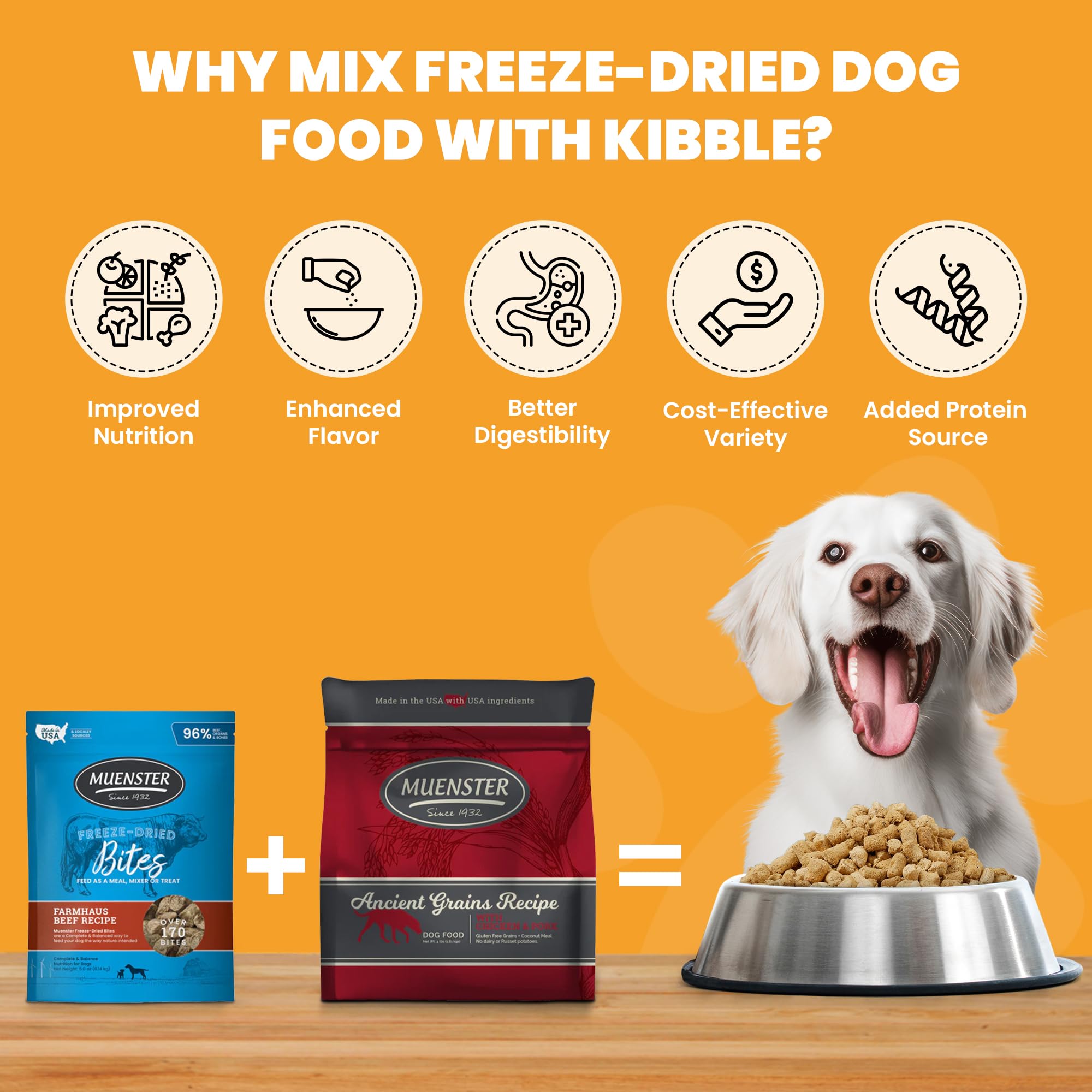 Muenster Ancient Grains Chicken & Pork Dry Dog Food, 22lb - Gluten-Free, High Protein, Digestive Support