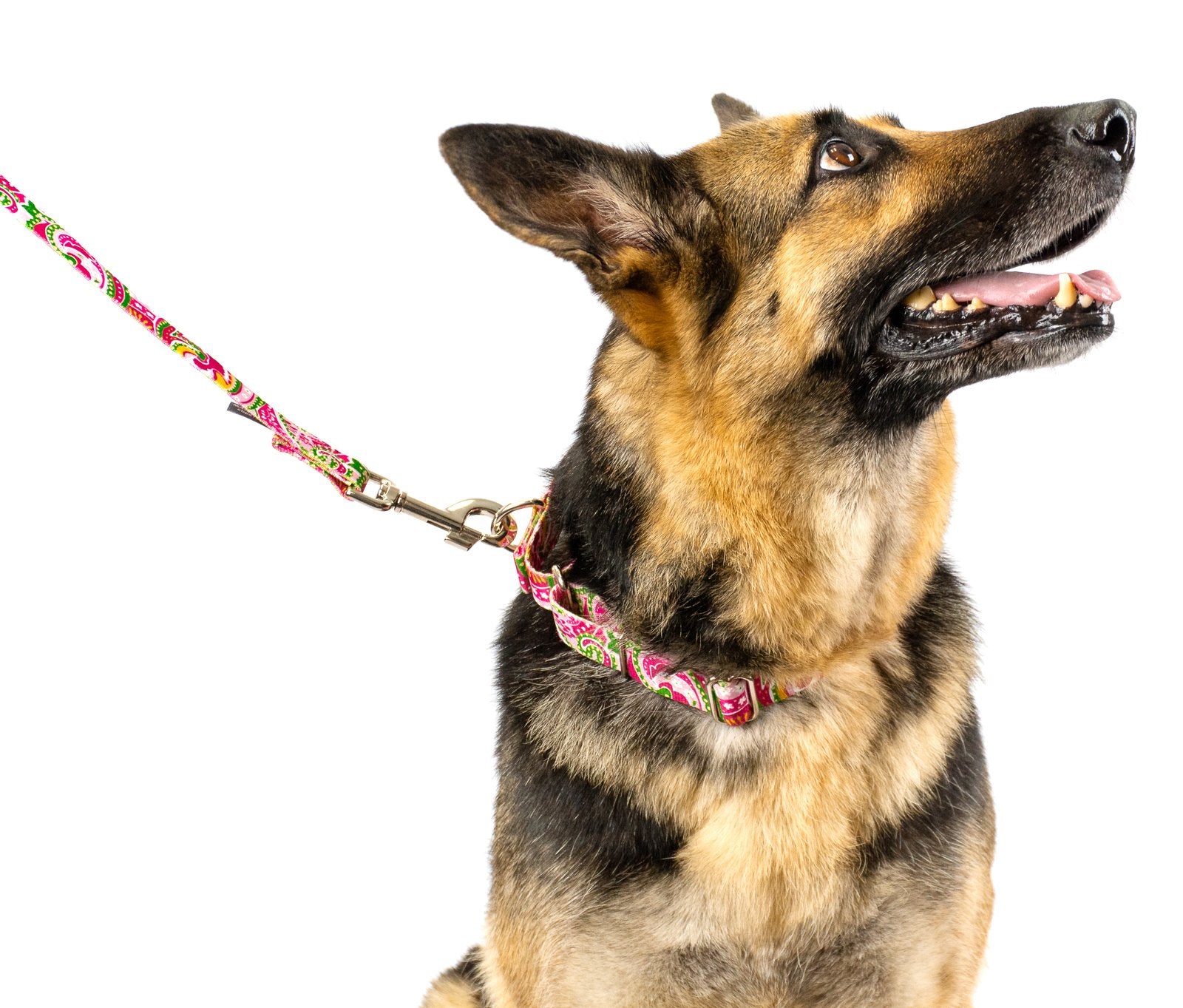 Country Brook Petz - Pink Paisley Martingale Dog Collar And Leash - Paisley Collection Featuring Classy Designs (1 Inch, Medium)