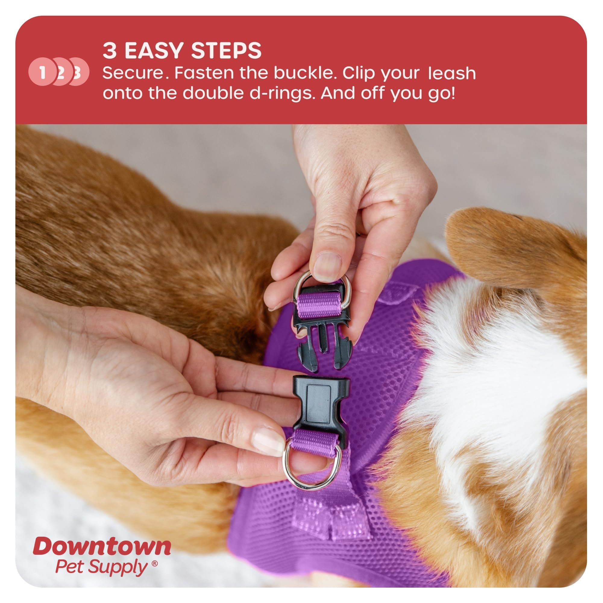Downtown Pet Supply Step In Dog Harness No Pull, Xx-Large, Purple - Adjustable Harness With Padded Mesh Fabric And Reflective Tr
