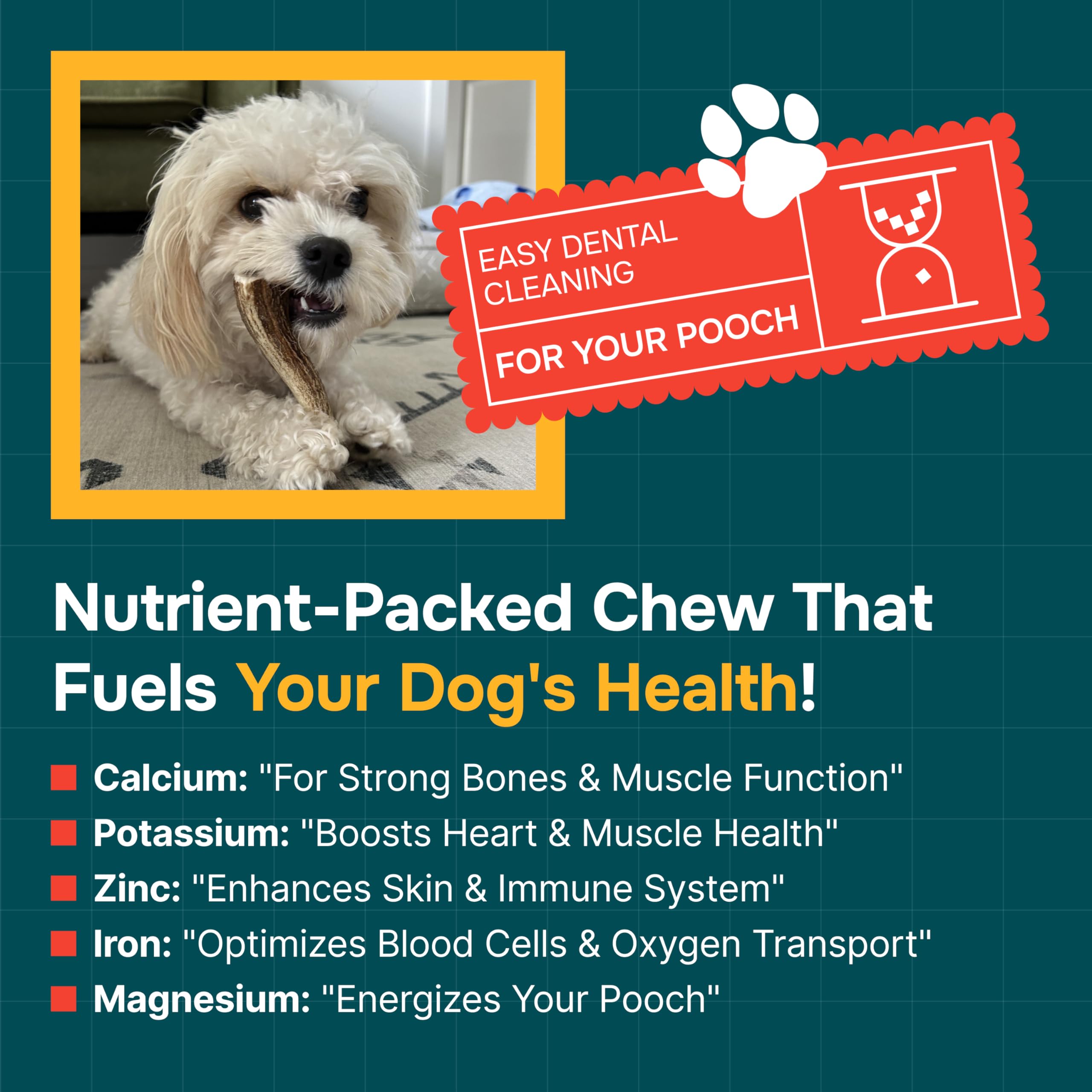 100% Natural - Antlers for Dogs - Naturally Shed in USA - Grade A Long Lasting Chew for Aggressive Chewers - Elk Antlers Dog Ant